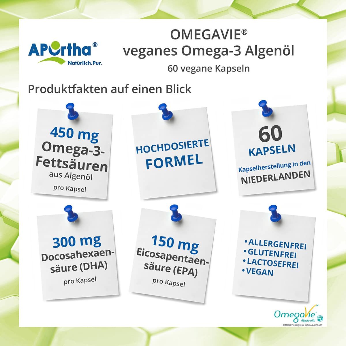 Infografik mit Produktinformationen. 6 Notizzettel mit Inhaltsstoffen und Eigenschaften von Omega-3 Algenöl-Kapseln.