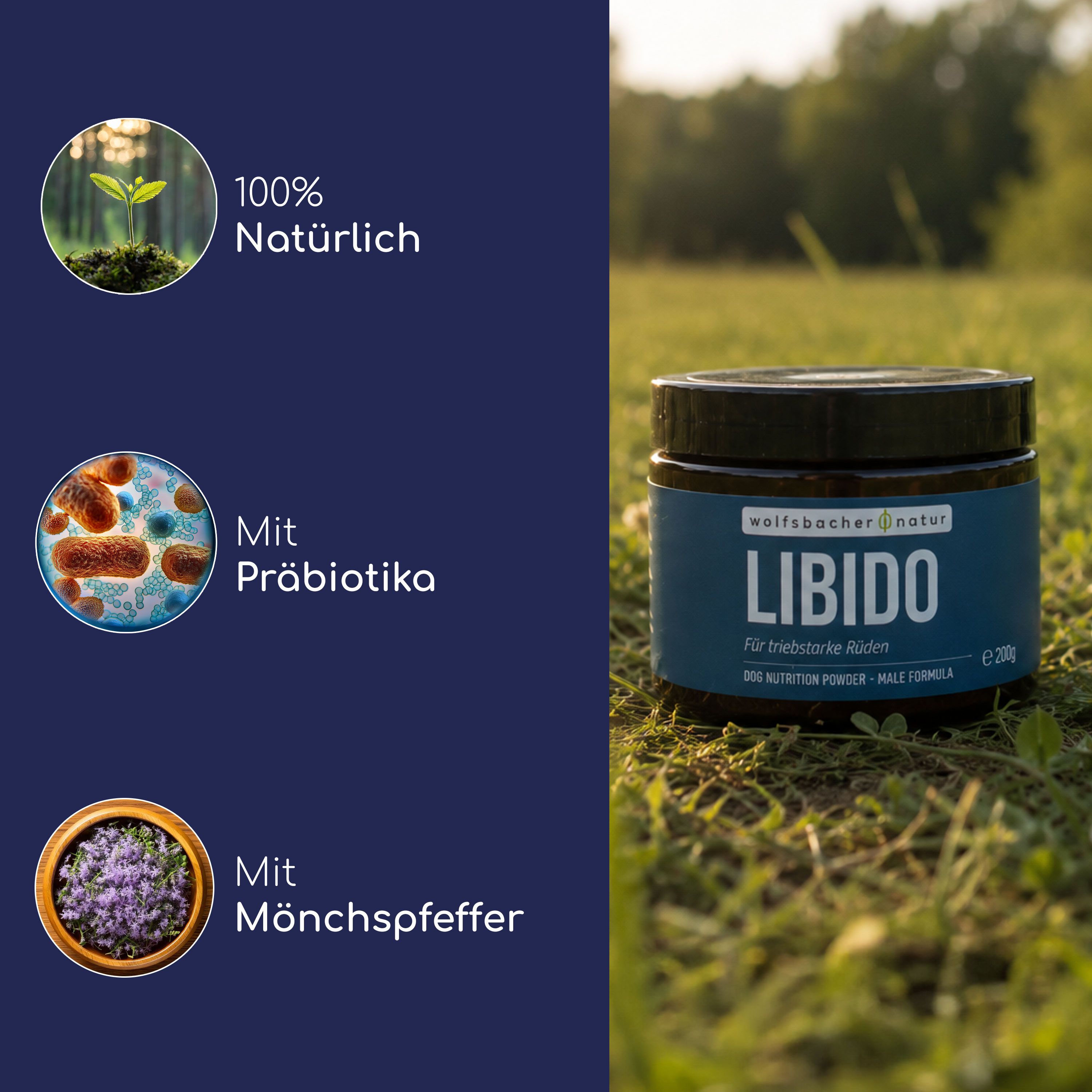Hund liegt im Gras neben einem Behälter mit Pulver. Links Symbole für 100% natürlich, mit Präbiotika und Mönchspfeffer.