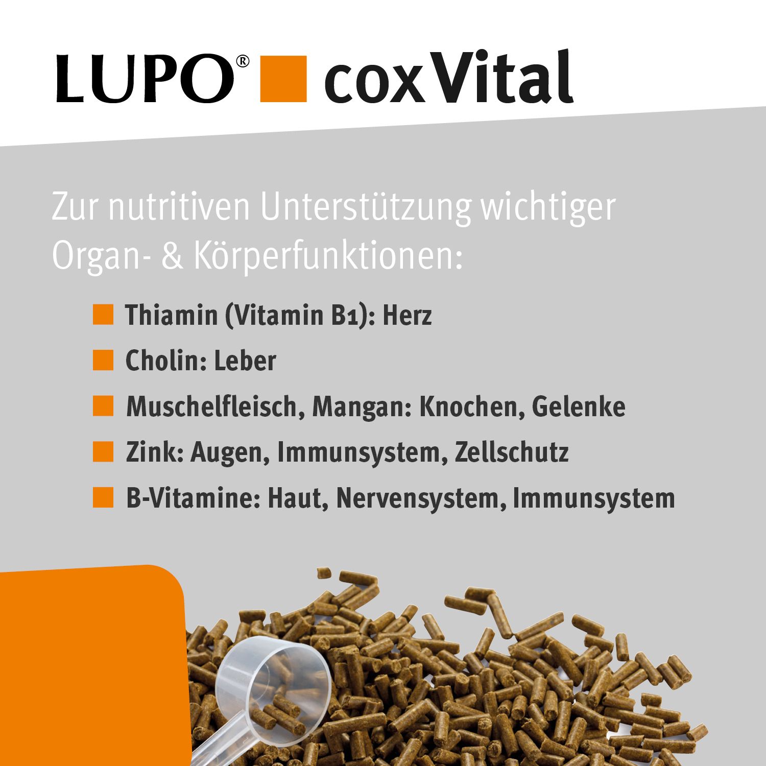 Nahaufnahme von braunen Pellets und Messlöffel. Text: LUPO coxVital. Auflistung von Inhaltsstoffen und deren Nutzen.