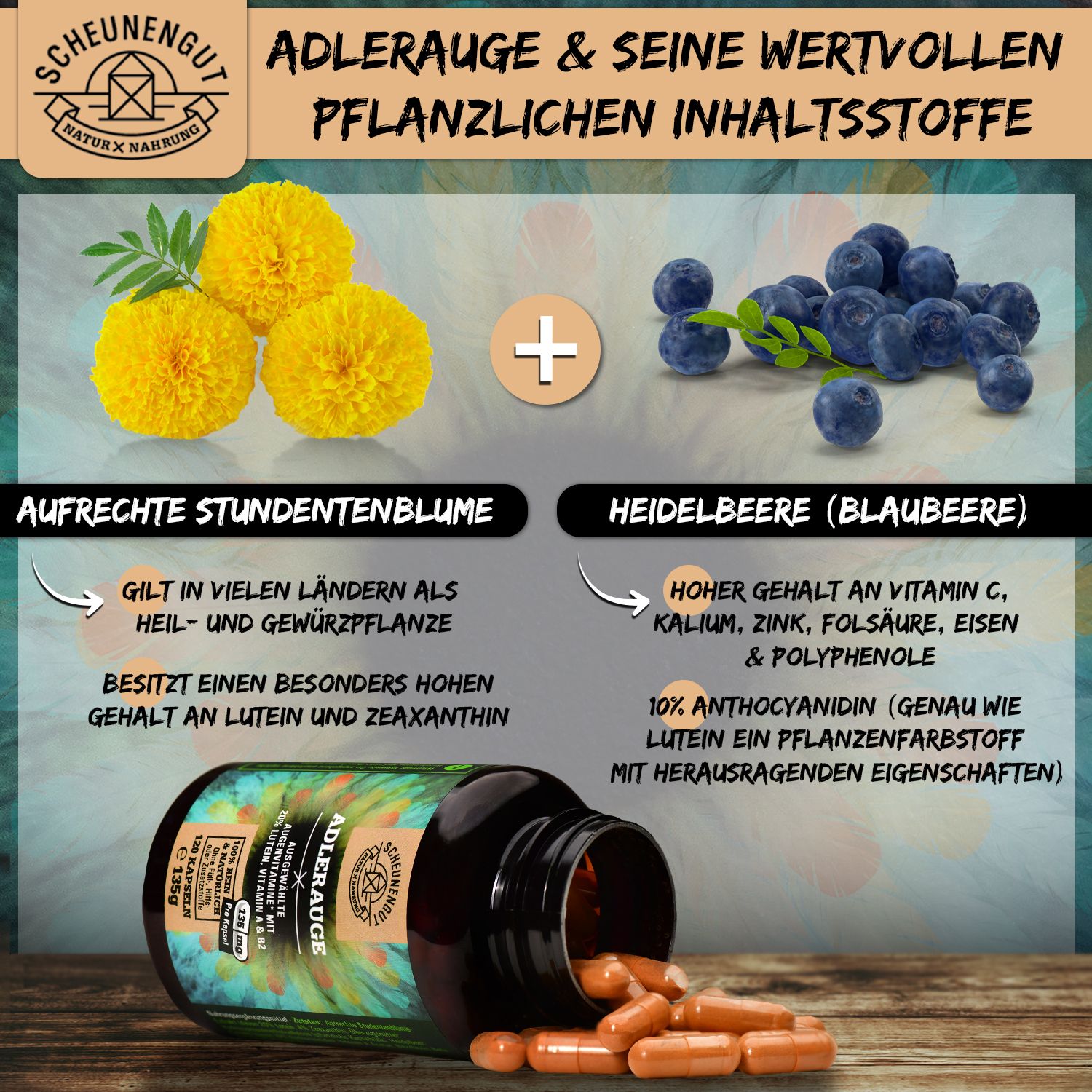 Scheunengut® Adlerauge | 20mg Lutein, 4mg Zeaxanthin, Anthocyanidin & ausgewählte Augenvitamine* 120 St Kapseln