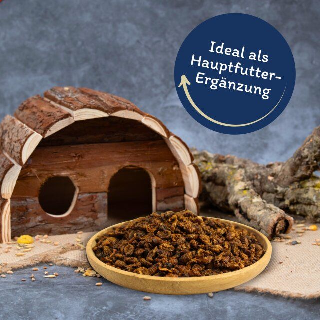 Getrocknete Seidenraupen in einer Holzschale. Holzhaus und Ast im Hintergrund. Text: Ideal als Hauptfutterergänzung.