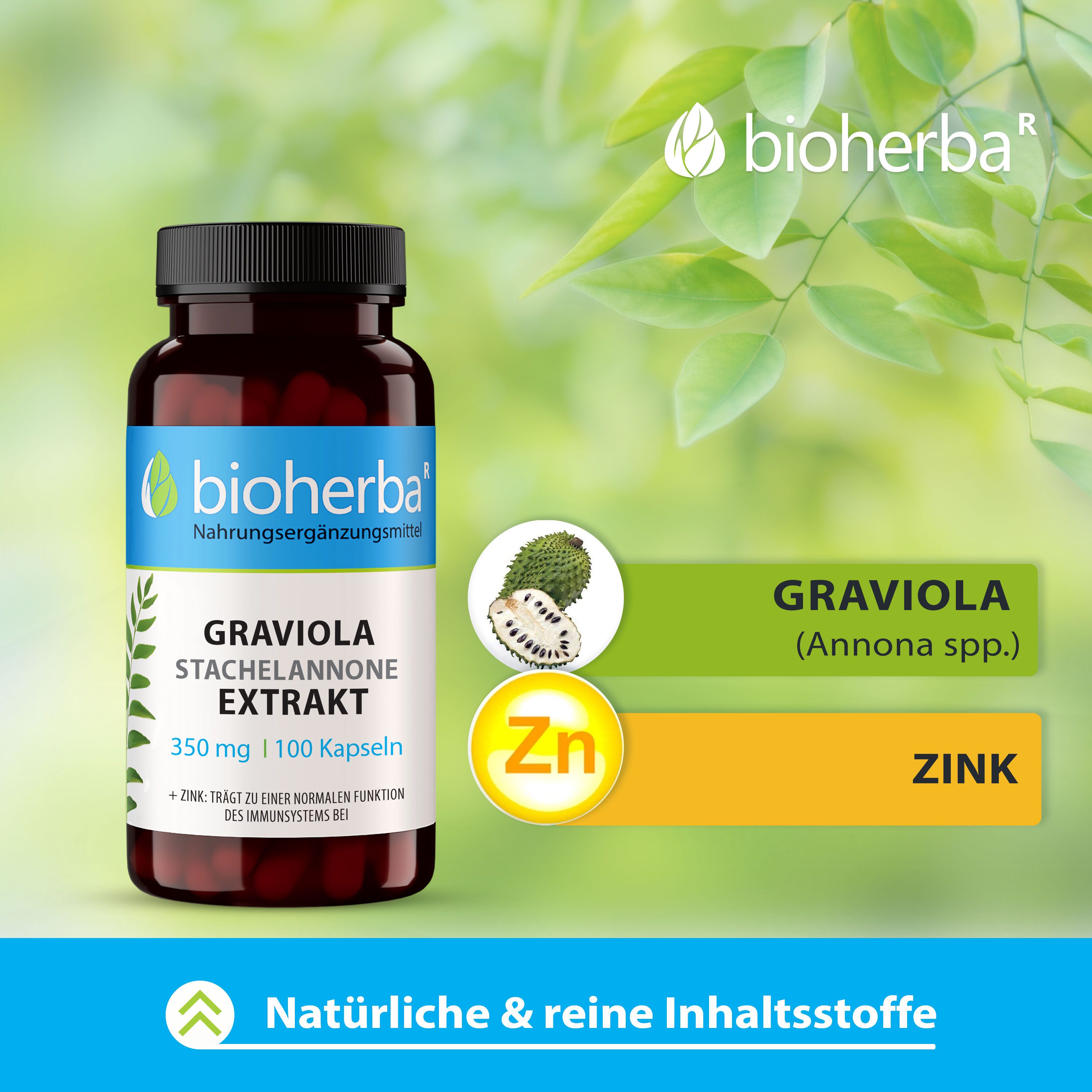 Bioherba Graviola Stachelannone Extrakt Kapseln