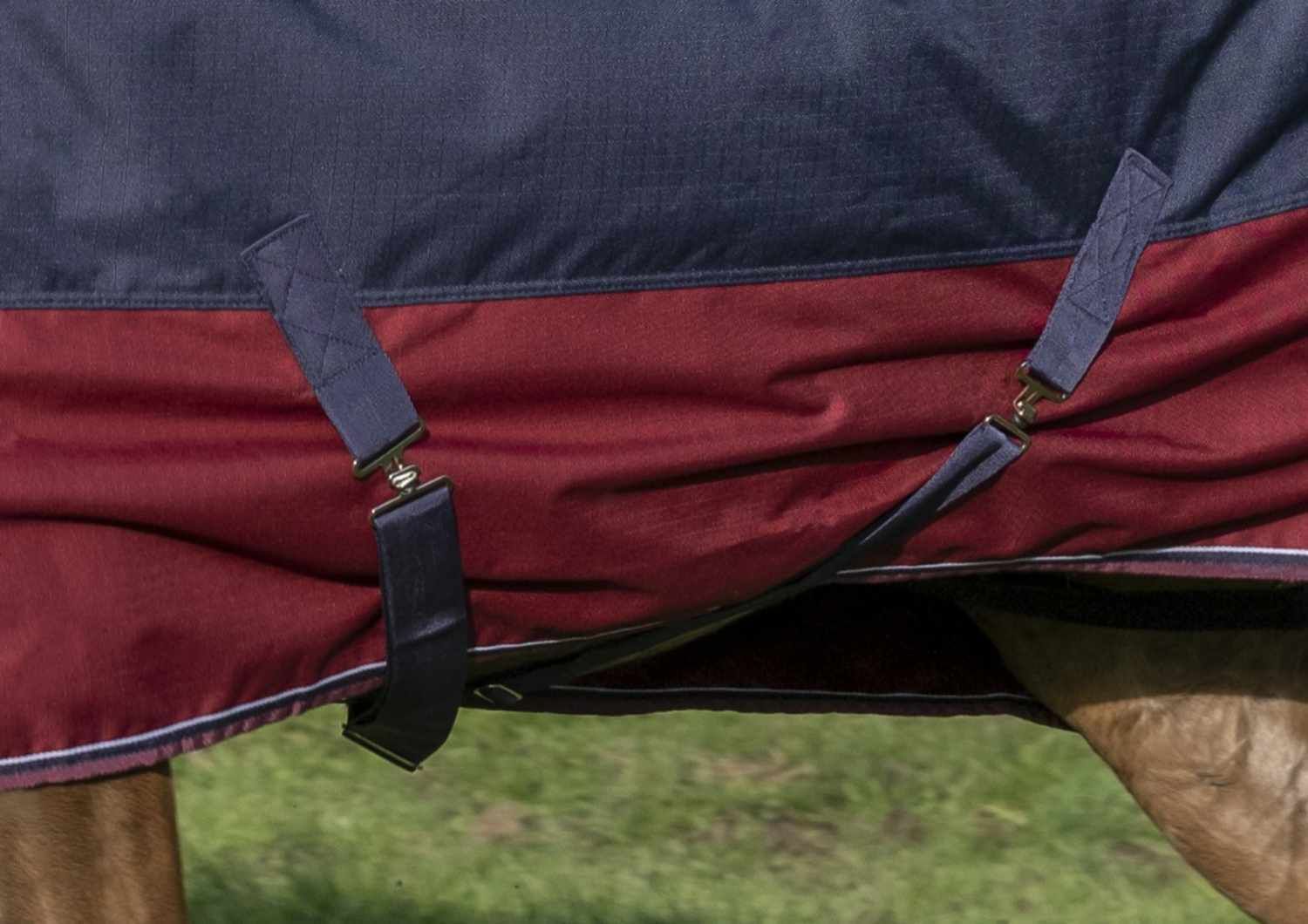 Equi-Theme TYREX High Neck
