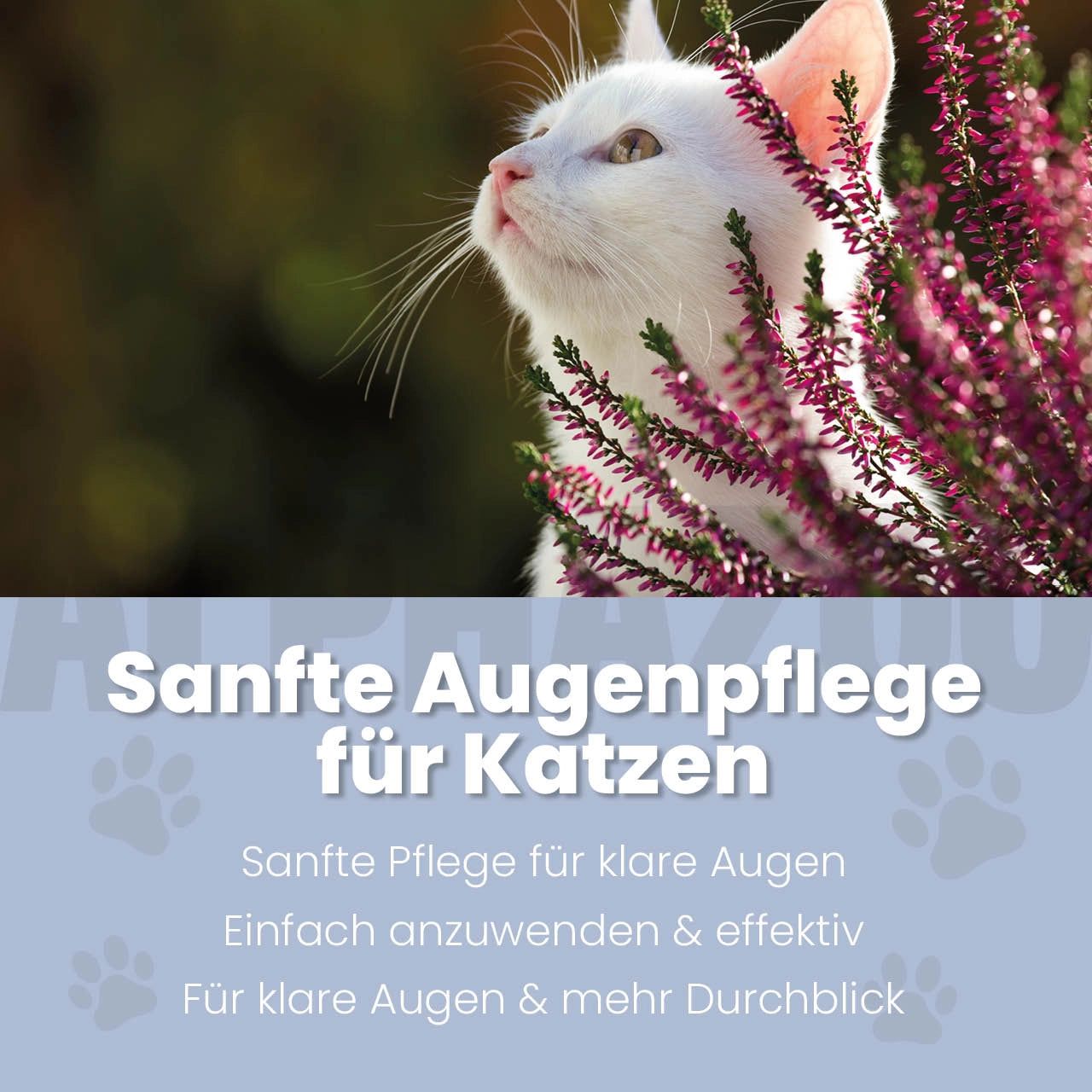Weisse Katze blickt nach oben, umgeben von lila Blüten. Text: Sanfte Augenpflege für Katzen.