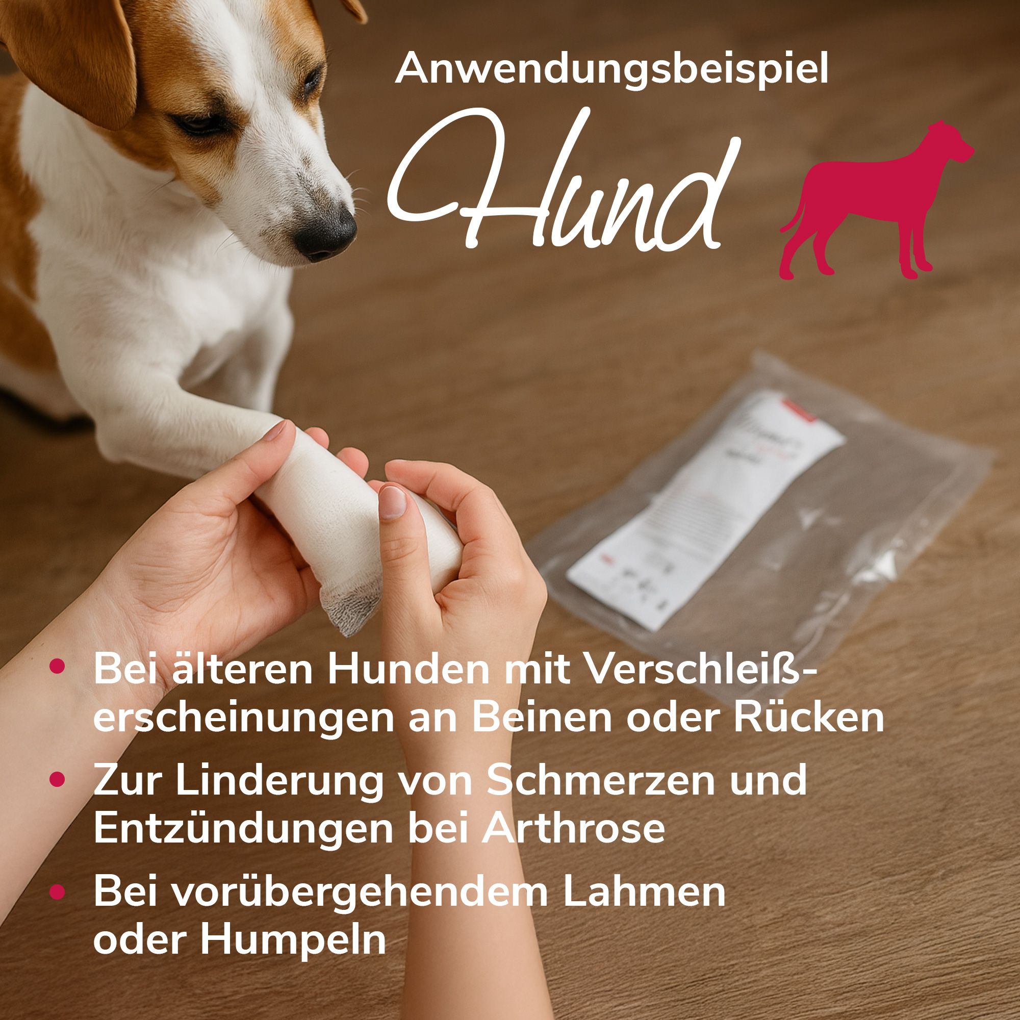 Hände wickeln einen Verband um die Pfote eines Hundes. Text: Anwendungbeispiel Hund.