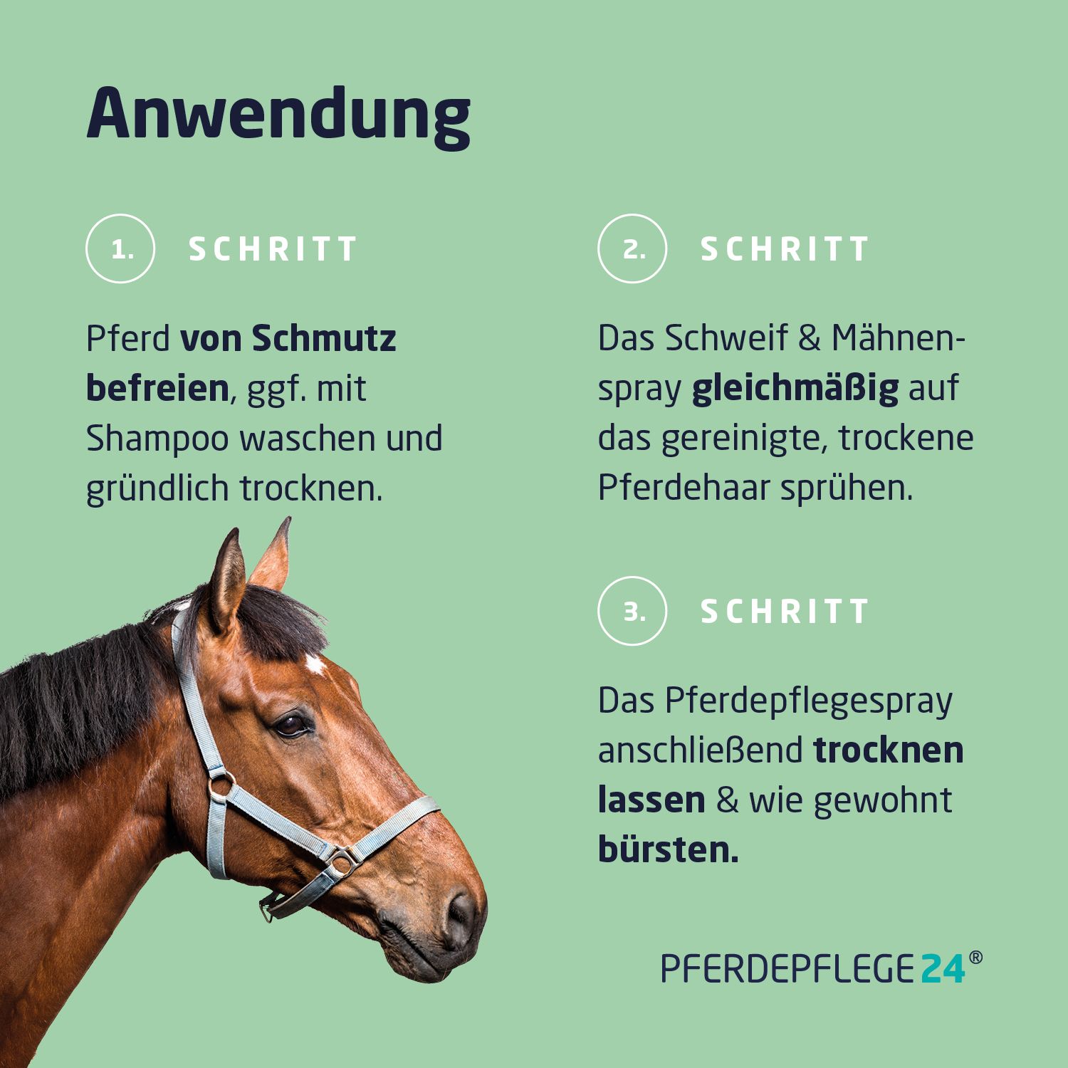 Pferdepflege24 Schweif&Mähnen Spray