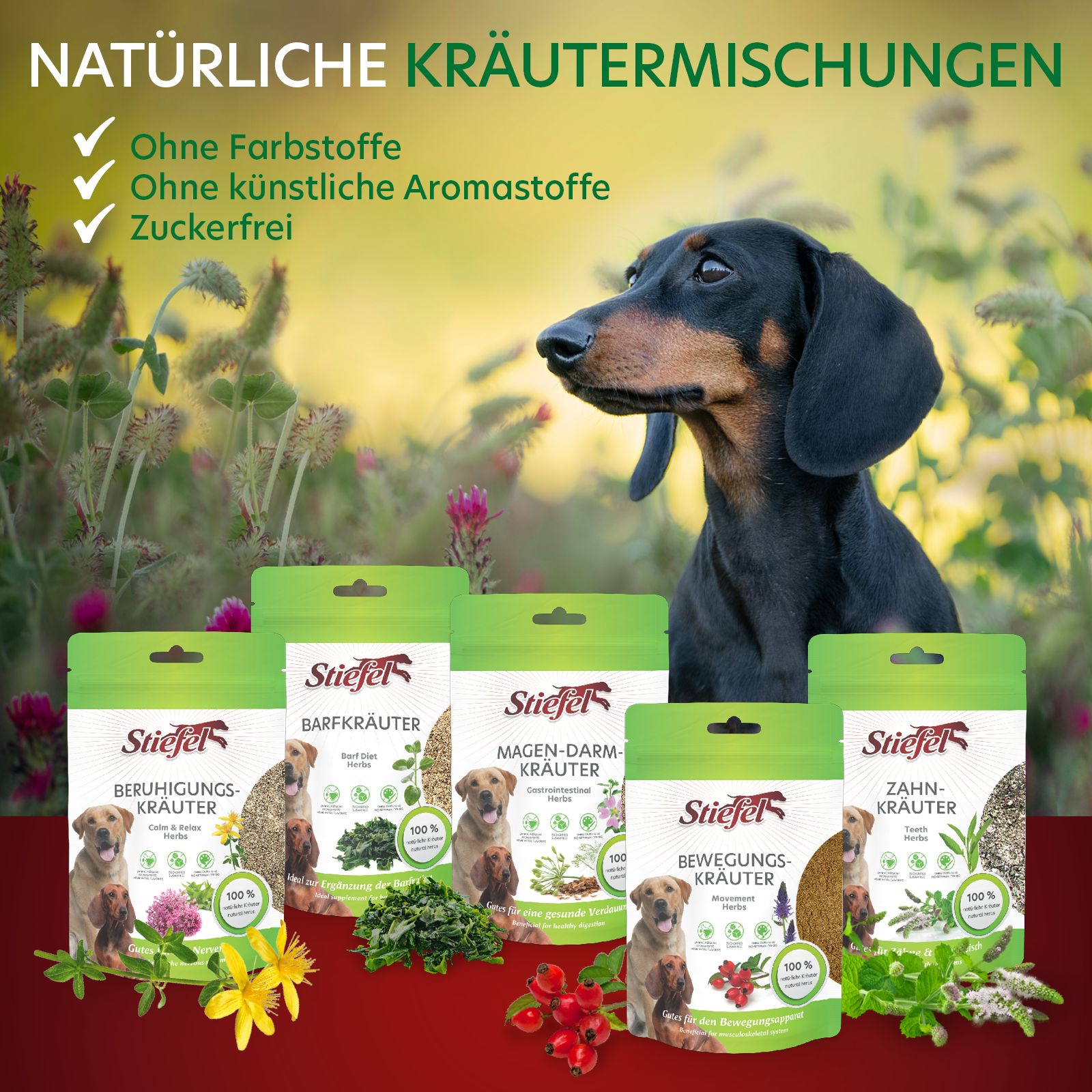 Mehrere Packungen Stiefel Kräuter. Verschiedene Sorten, Hundeabbildungen, grüne Verpackungen.