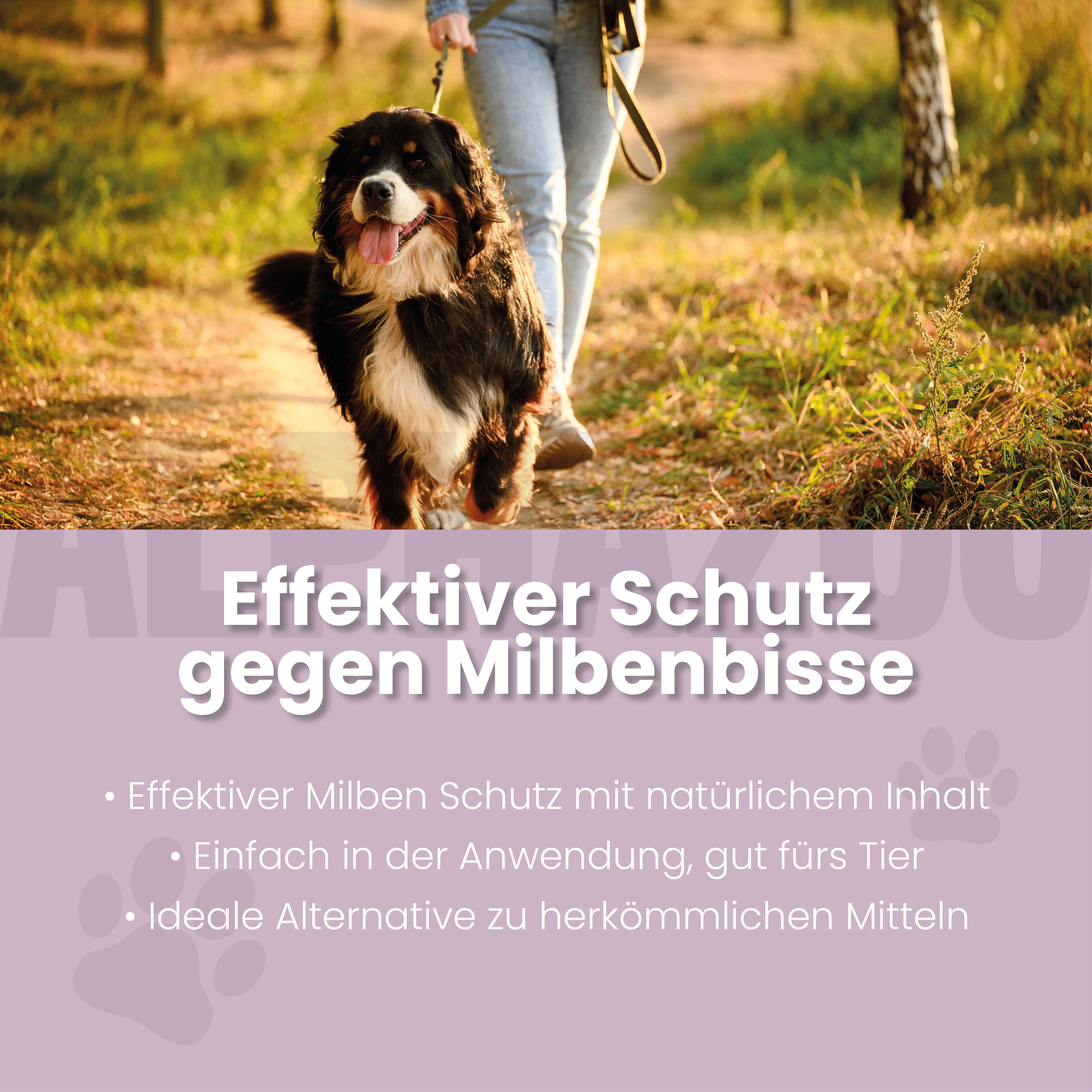 Ein Hund wird an der Leine von einer Person im Freien geführt. Text: Effektiver Schutz gegen Milbenbisse.