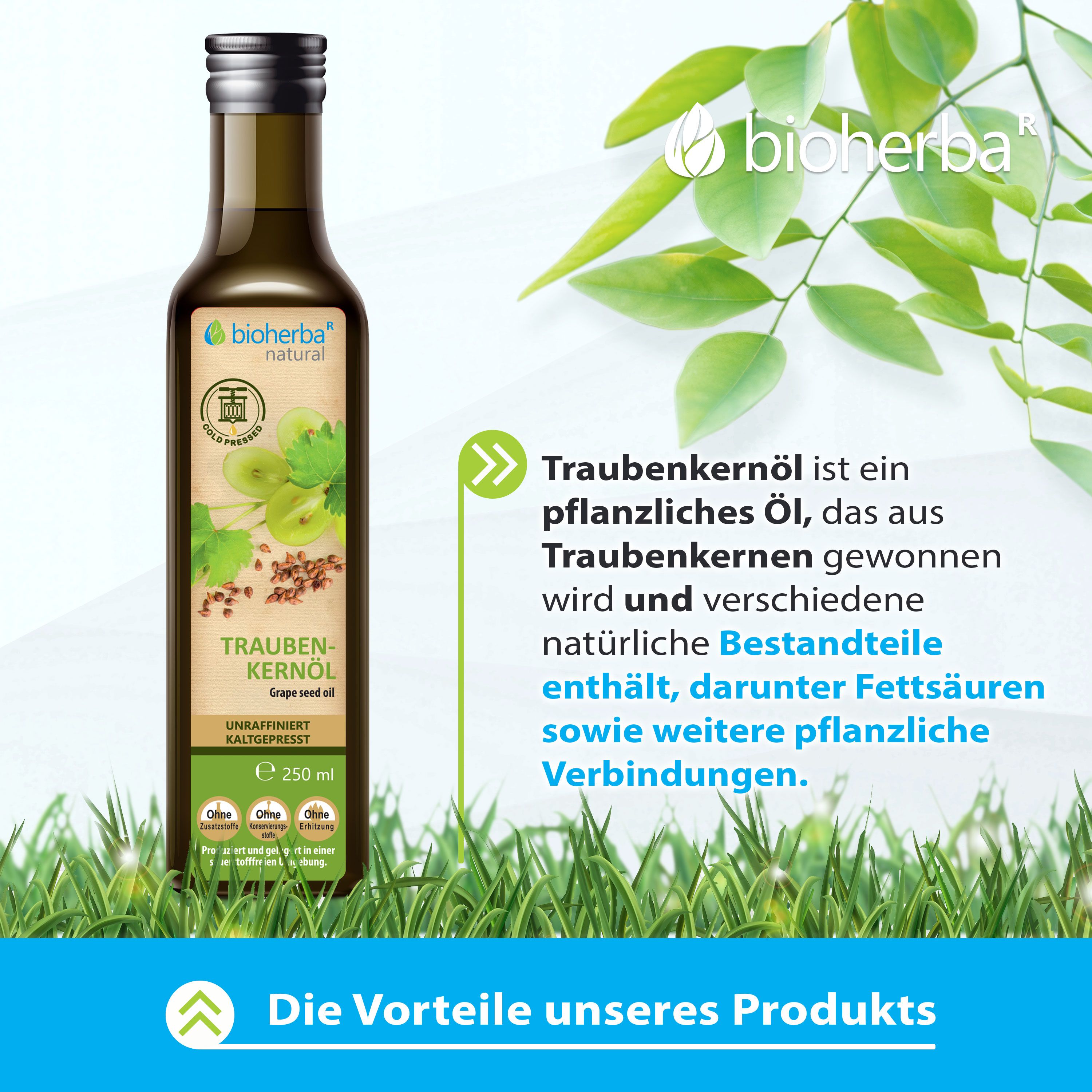 Bioherba Traubenkernöl in brauner Glasflasche. Grün-weißes Etikett. Text: Traubenkernöl, unraffiniert, kaltgepresst, 250 ml. Grüne Blätter im Hintergrund.