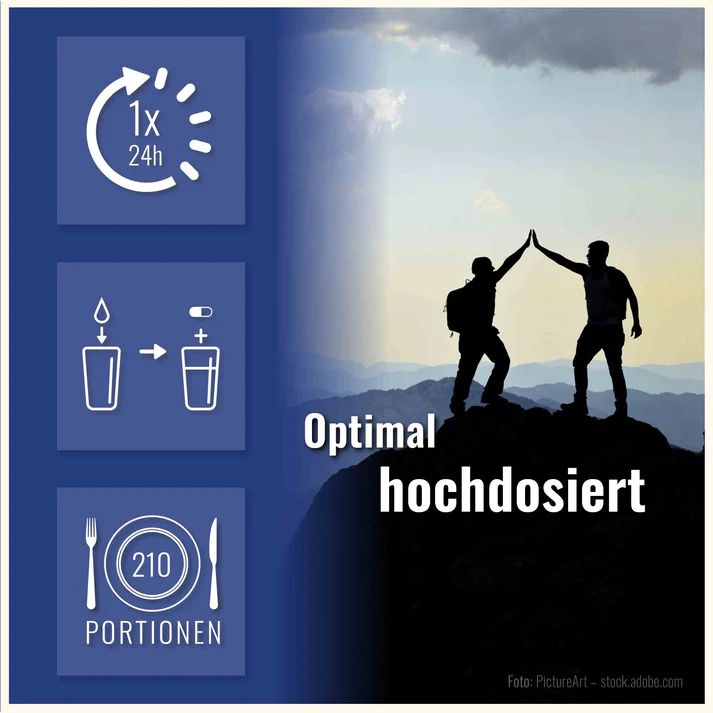 Sports & Health L Glutamin Kapseln