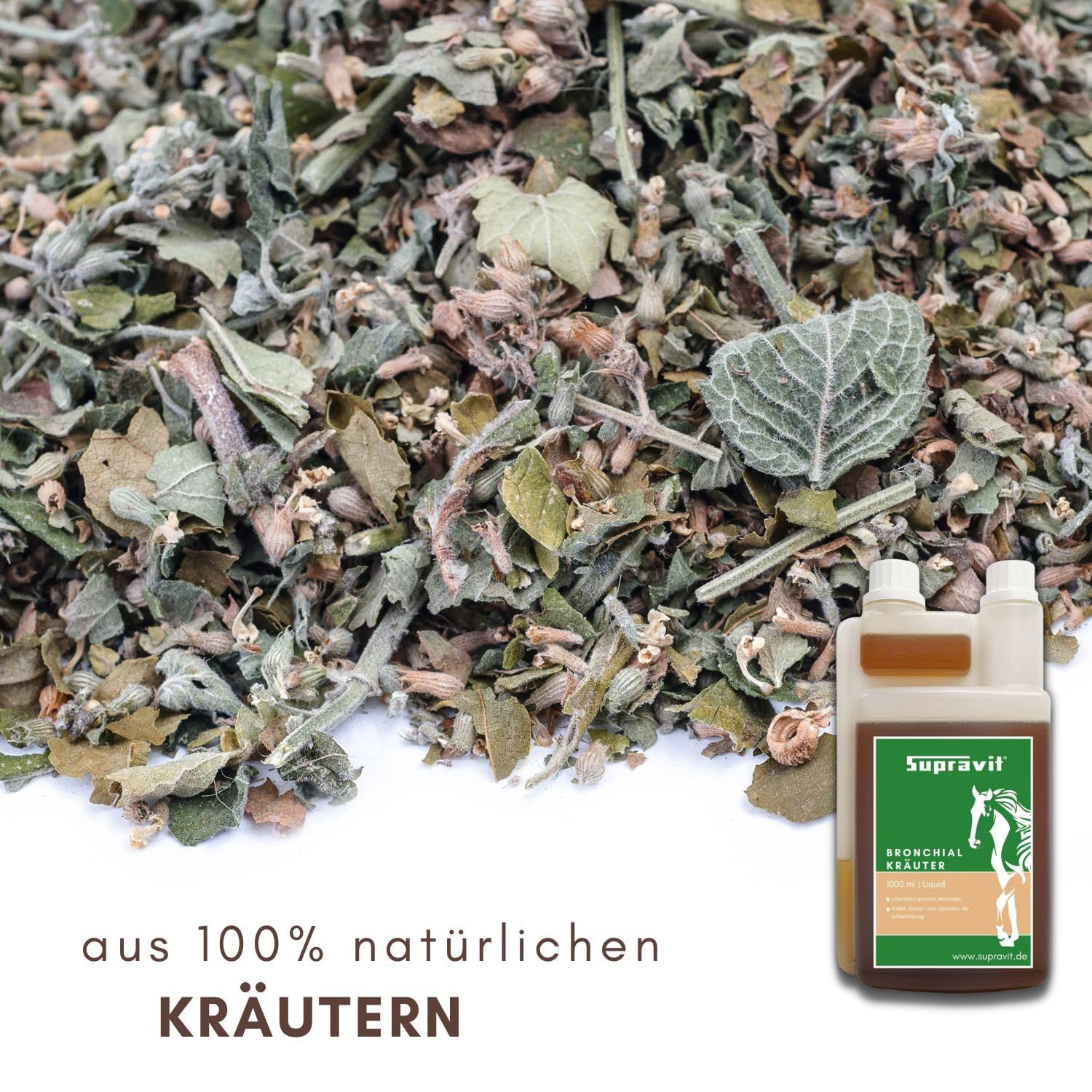 Nahaufnahme von getrockneten Kräutern. Rechts unten: Flasche mit brauner Flüssigkeit und weißem Etikett. Text: Bronchialkräuter.