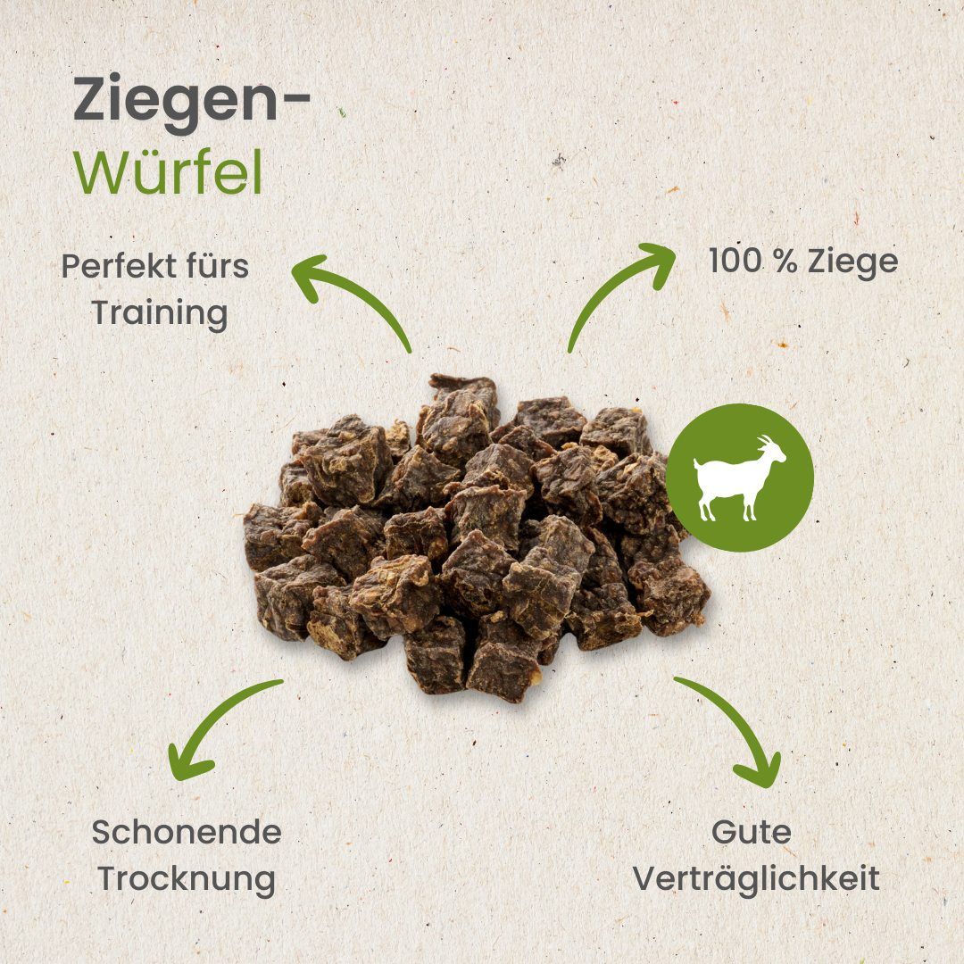 Hund kaut auf einem getrockneten Ziegenwürfel.