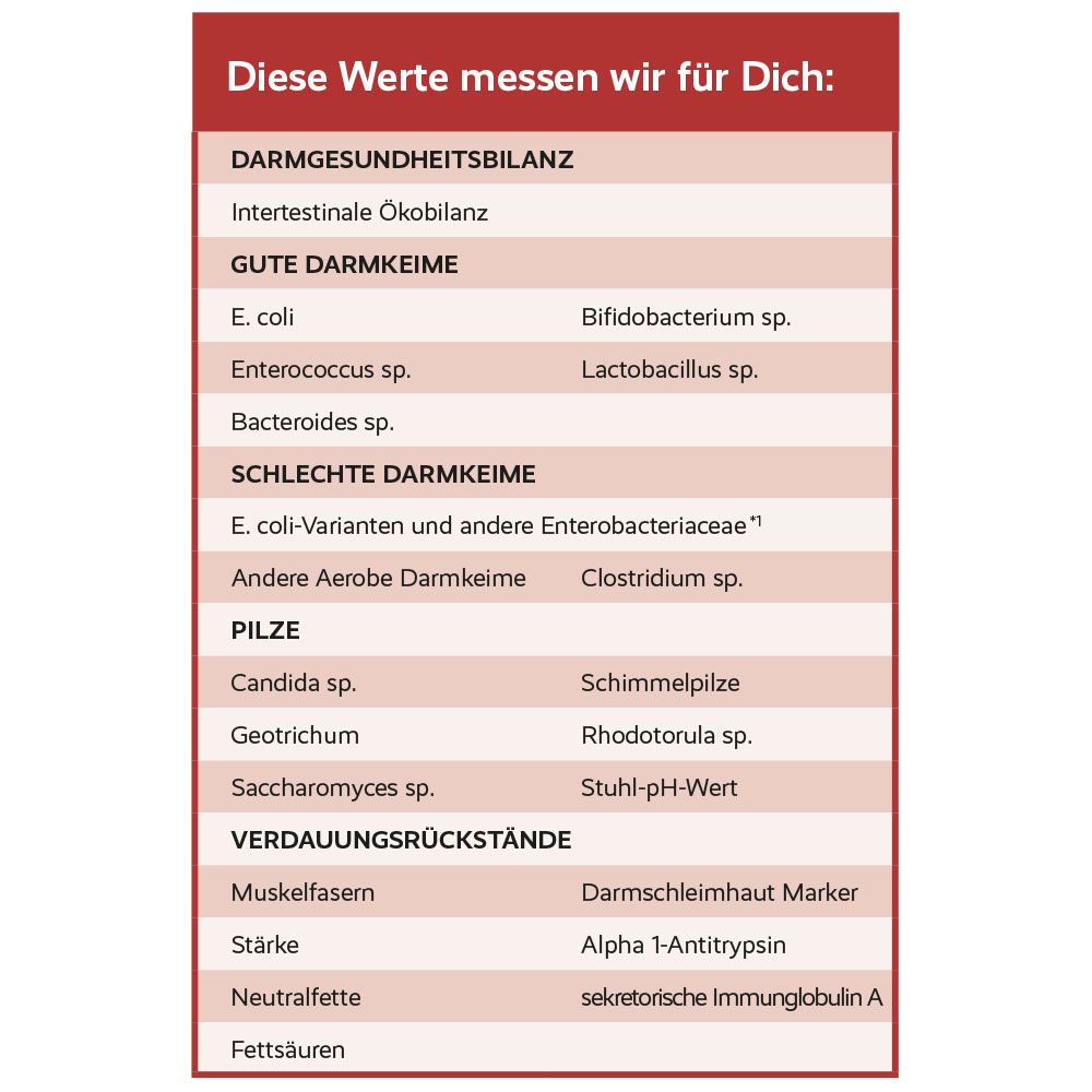 Tabelle mit gemessenen Werten für Darmgesundheit. Auflistung von Bakterien, Pilzen und Markern.