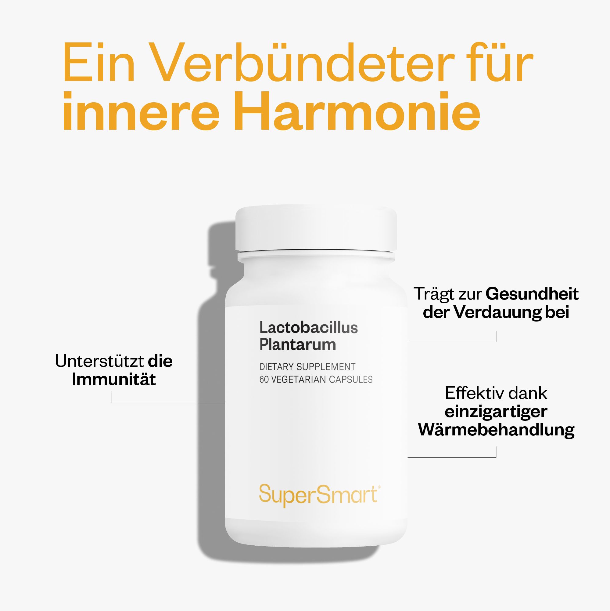 Lactobacillus plantarum PostBiotic - SuperSmart