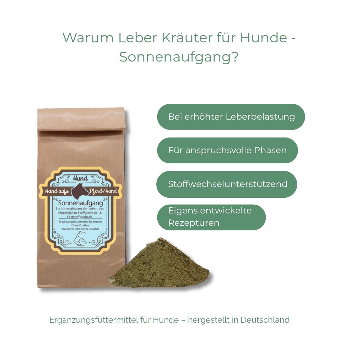 Braune Papiertüte mit Kräutermischung. Text: Hand aufs Pferd/Hund Sonnenaufgang. Grünliche Kräuter daneben. Text in grünen Boxen.
