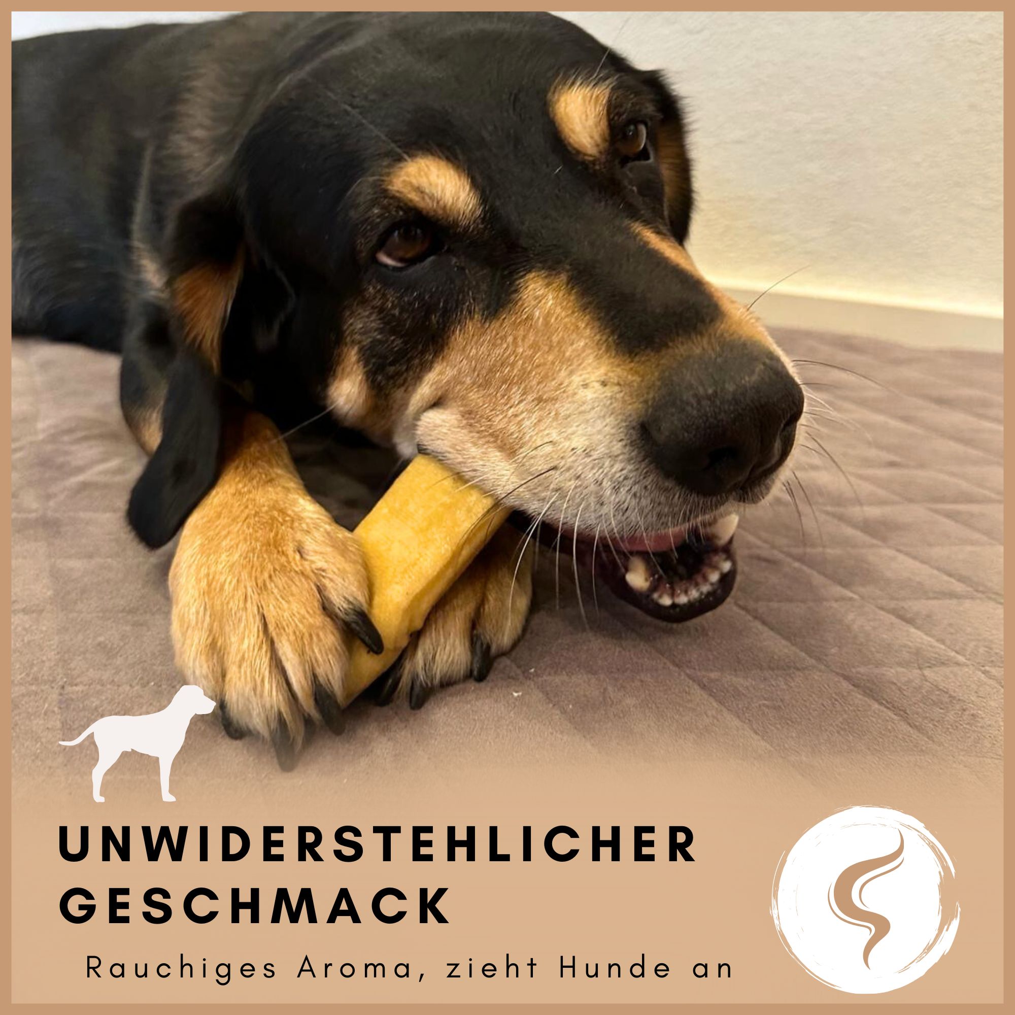Hund frisst einen hellbraunen Kausnack. Text: Unwiderstehlicher Geschmack, rauchiges Aroma, zieht Hunde an. Logo.