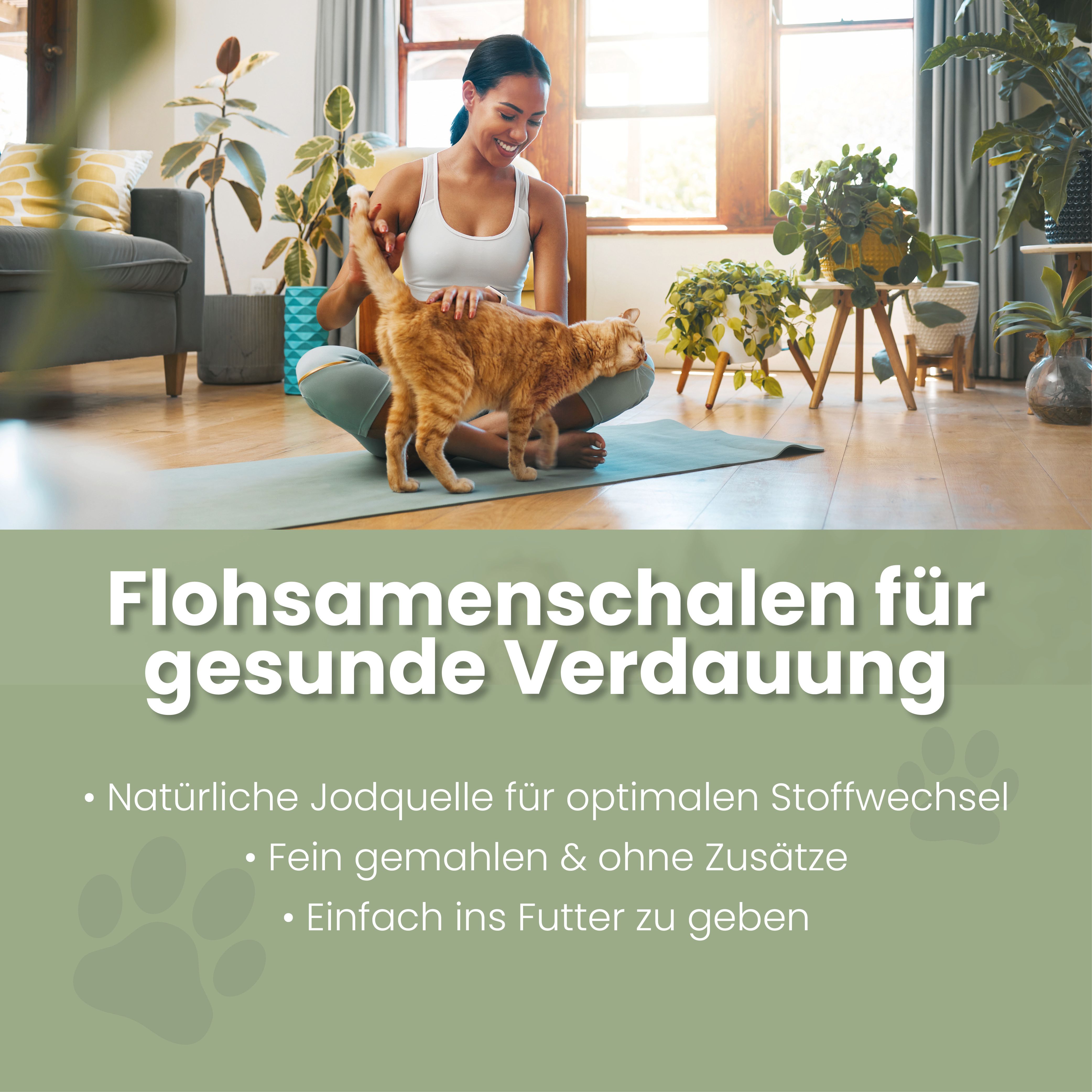 Flohsamenschalen gemahlen für Katzen