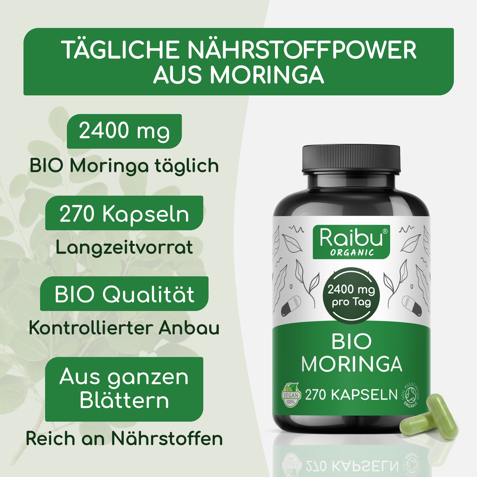 RAIBU - Bio Moringa Kapseln hochdosiert 2400 mg - vegane, laborgeprüft, glutenfrei & laktosefrei