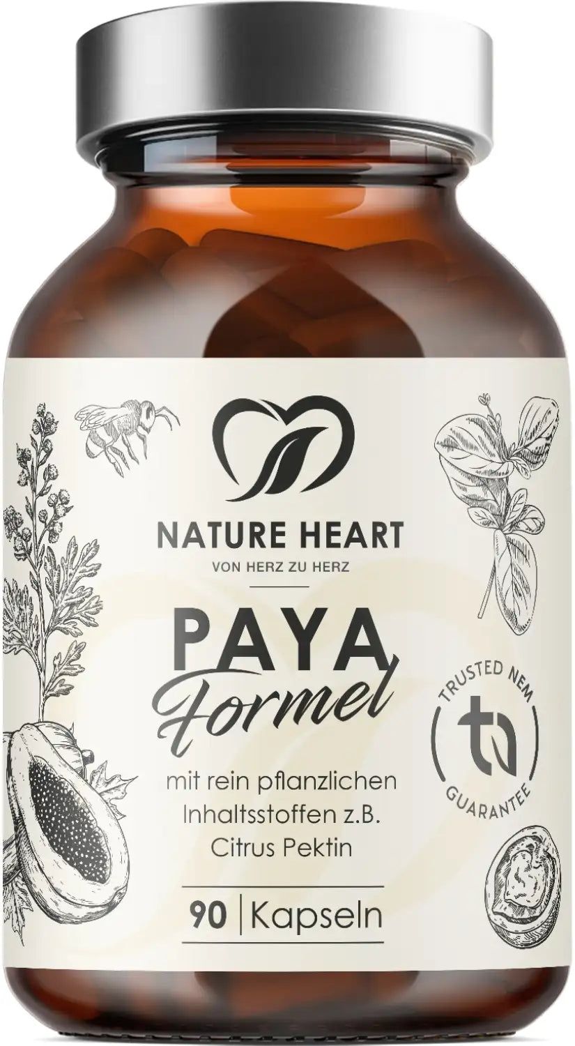 Braune Glasflasche mit Kapseln. Aufschrift: Paya Formel, 90 Kapseln. Logo: Nature Heart. Illustrationen von Papaya und Blättern.
