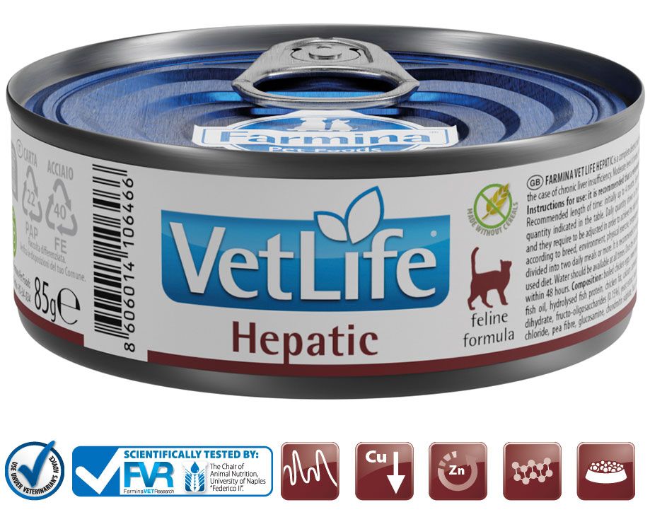 Farmina Vet Life Hepatic Nassfutter für Katzen