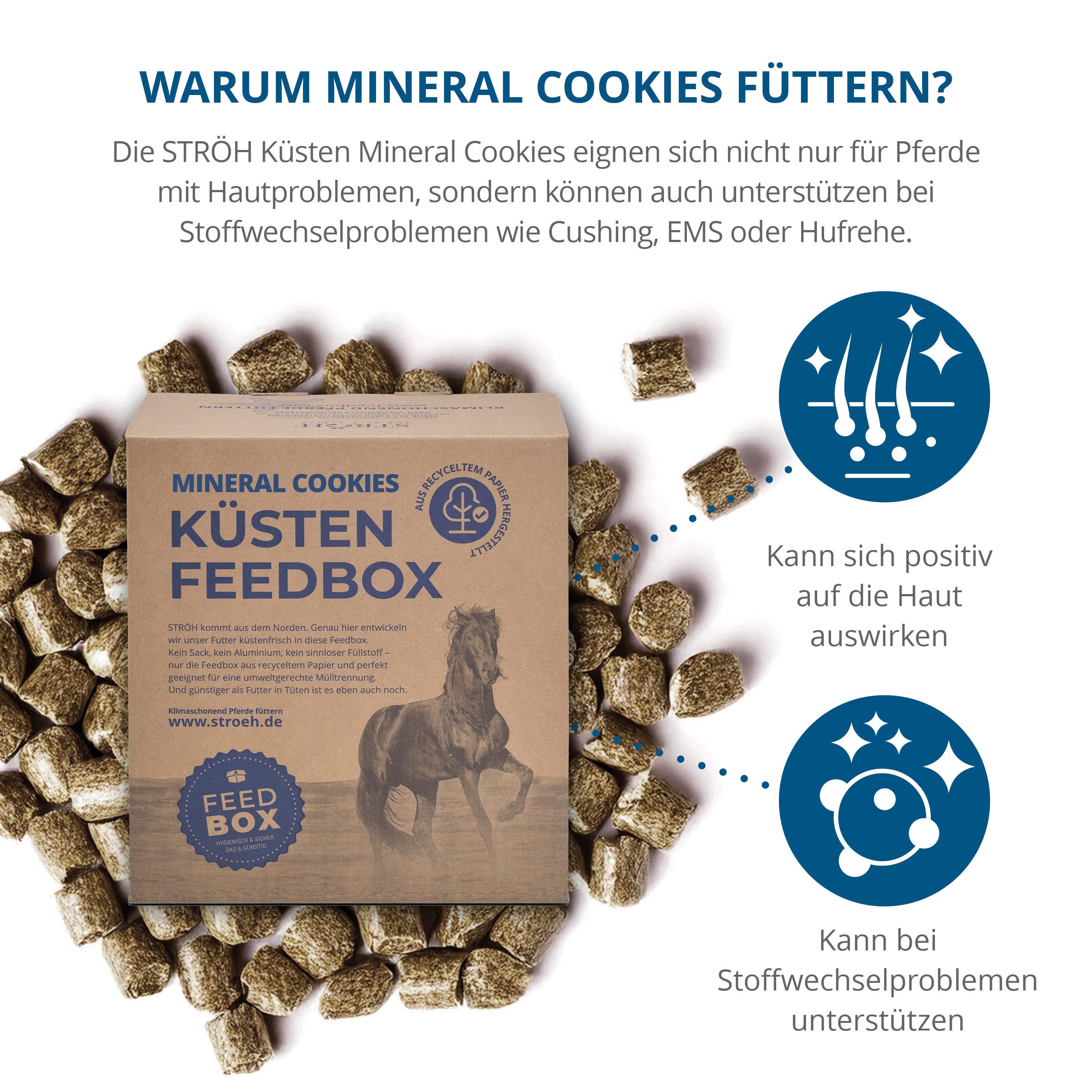 Mineral Cookies Feedbox. Braune Box mit Produktinformationen und einem Pferd. Grüne Pellets liegen um die Box herum. Grafiken.