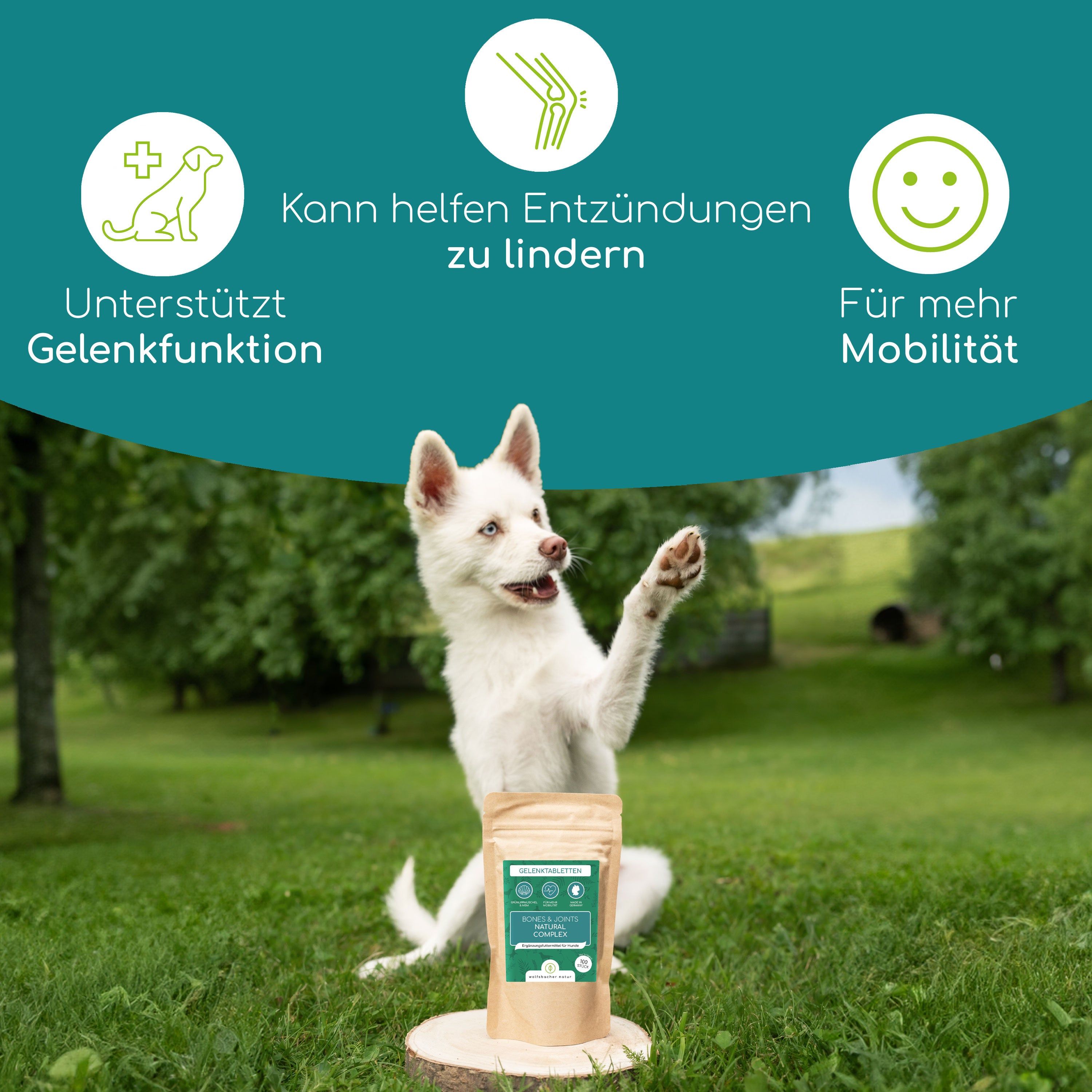 Wolfsbacher Natur Gelenktabletten