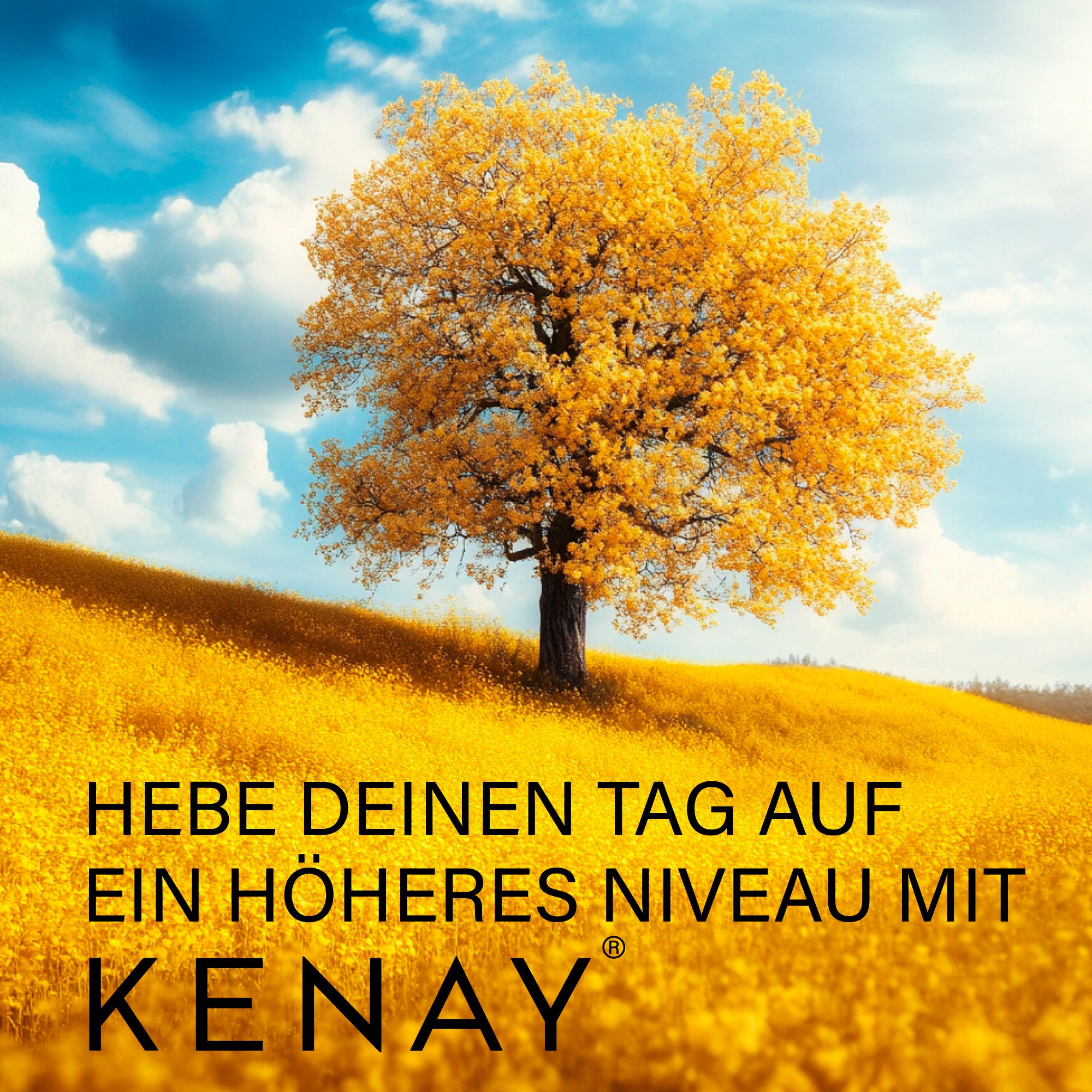 Silizium Lipocell Tech™ KENAY®
