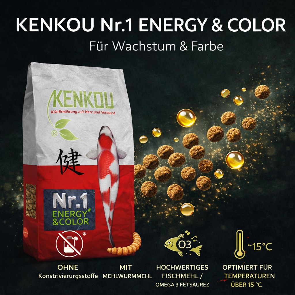 KENKOU Nr.1 -Energy & Color