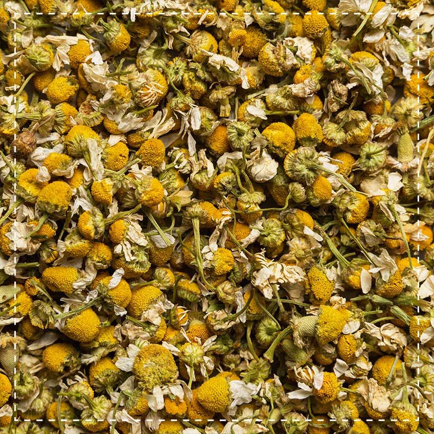 Biotiva Kamillen Blüten Tee Bio