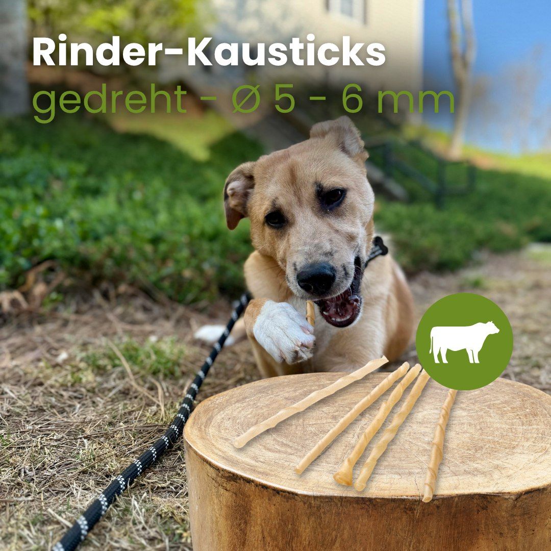Gedrehte Rinder-Kausticks, 100% Rind, schonend getrocknet, hoher Proteingehalt.