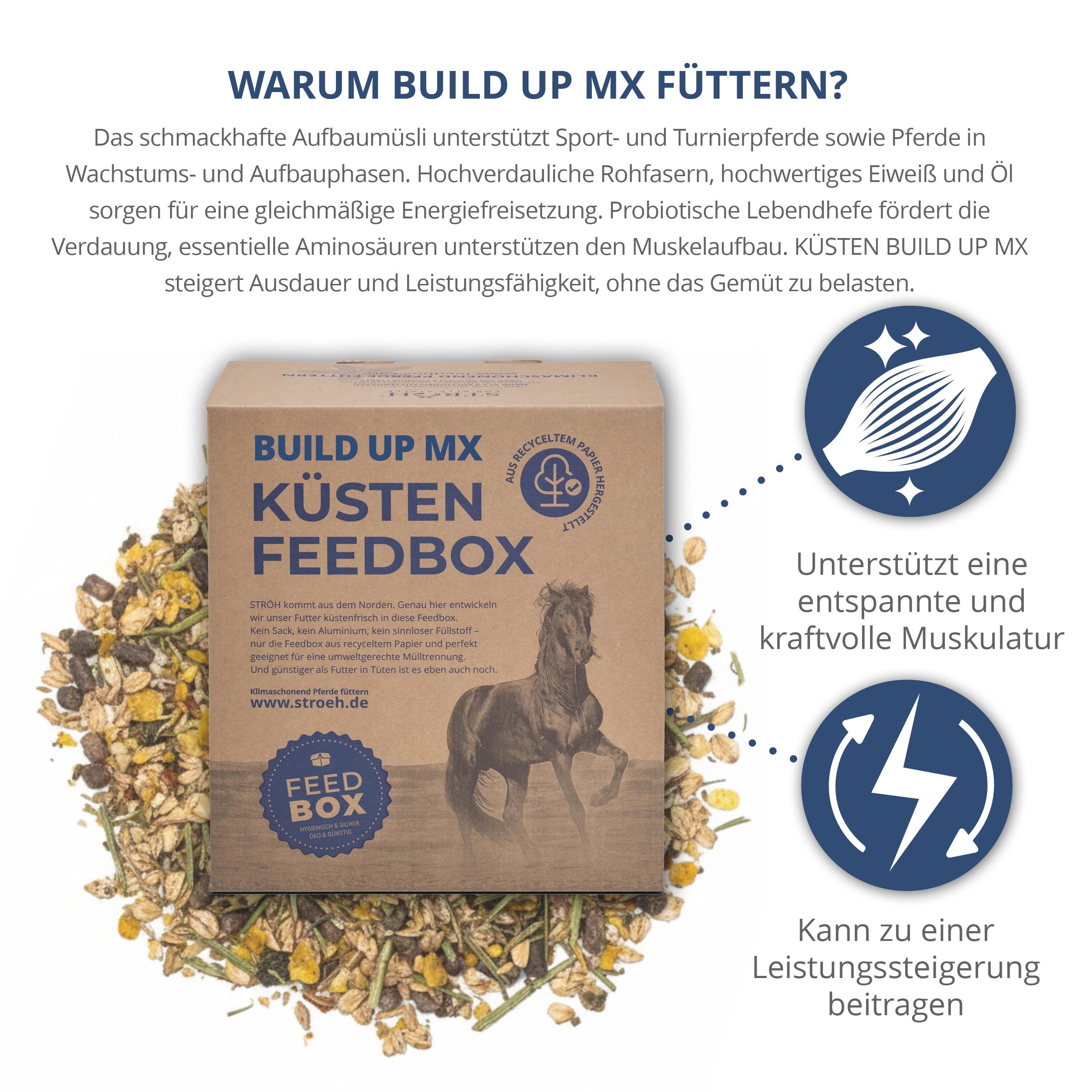 Karton "Build up MX Küsten Feedbox" mit Futter. Text: Warum Build up MX füttern? Logo: Pferd. Text: www.stroeh.de. Feed Box.