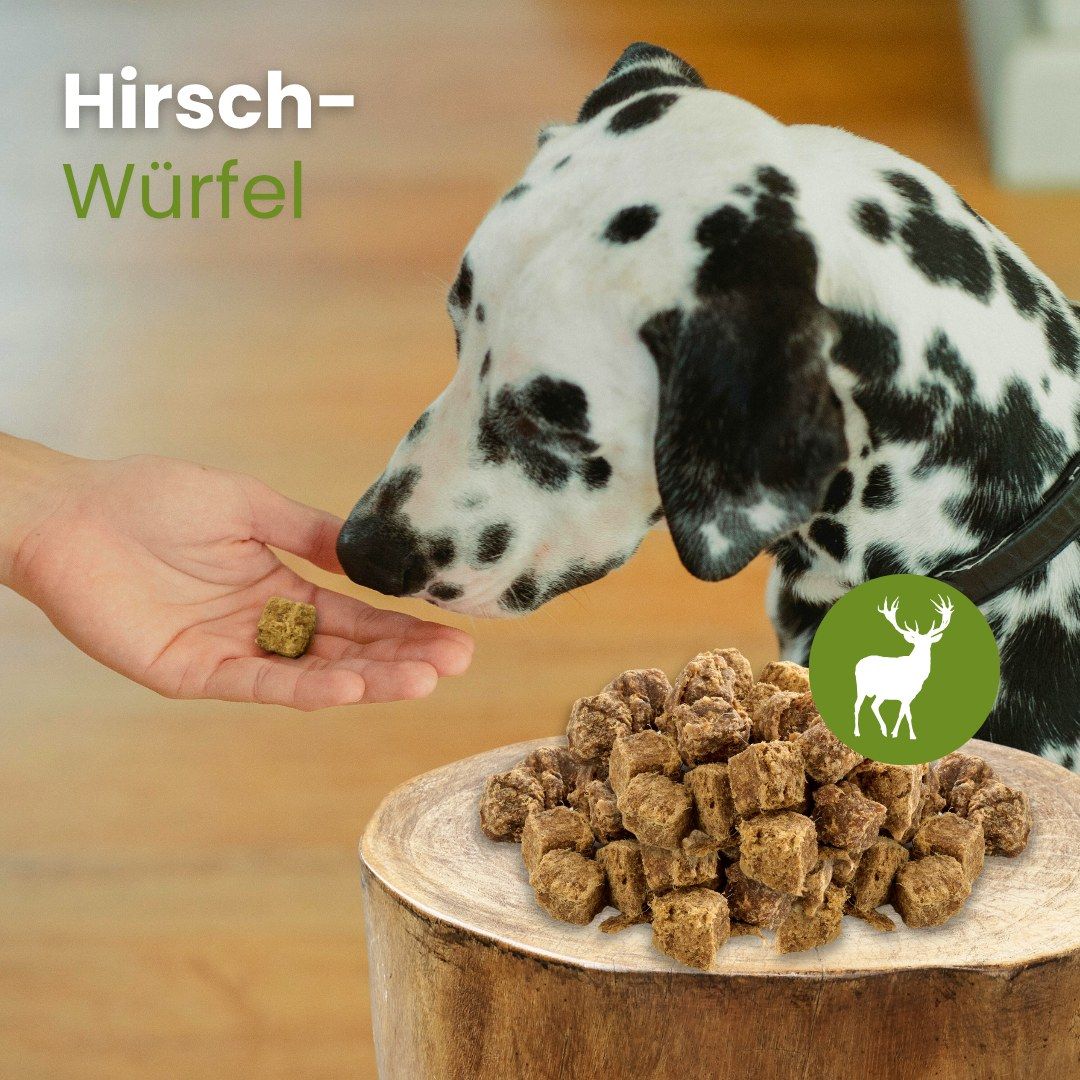 Haufen getrockneter Hirsch-Würfel für Hunde.