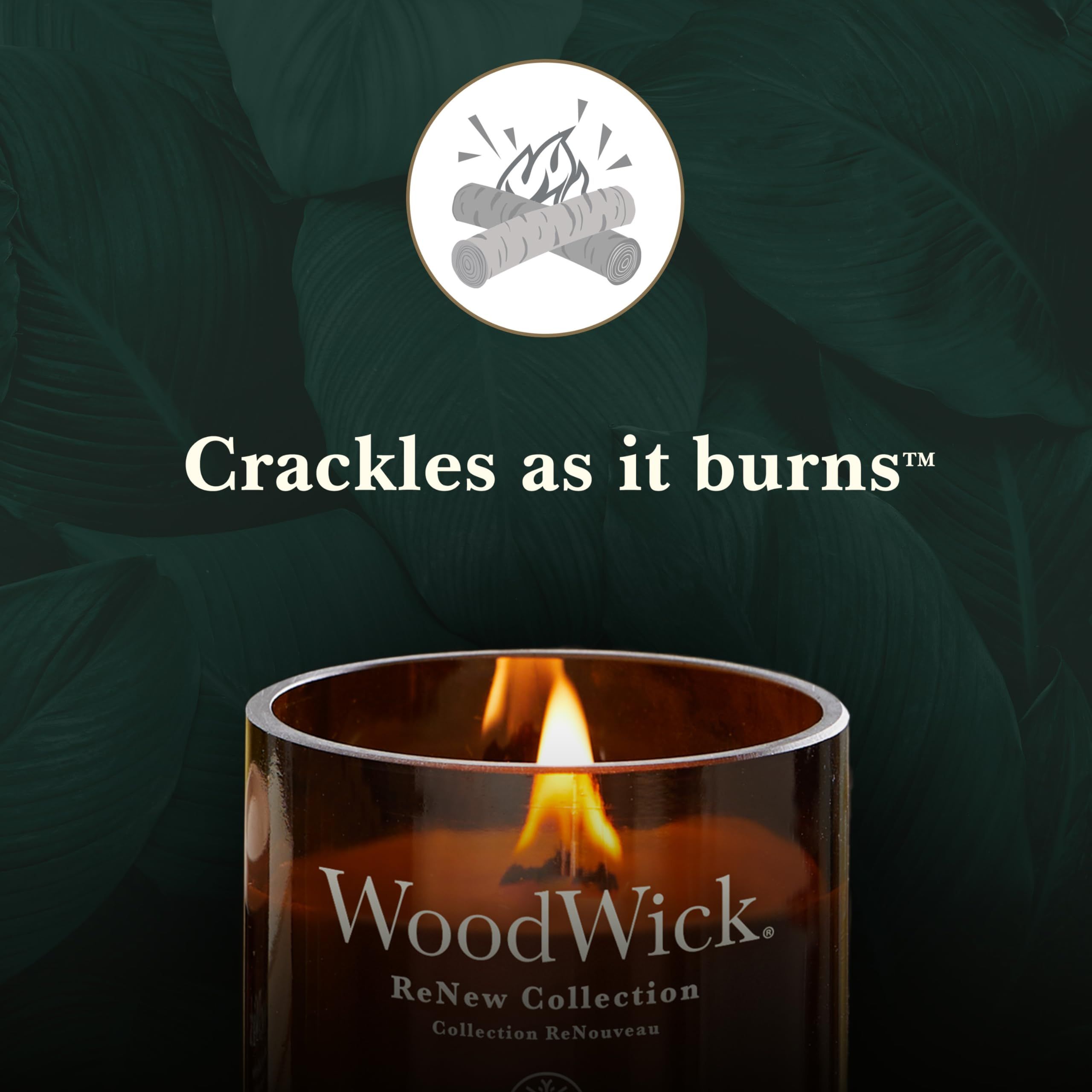 Kerze mit Flamme. Aufschrift: WoodWick ReNew Collection. Text: Crackles as it burns. Hintergrund: Blätter.