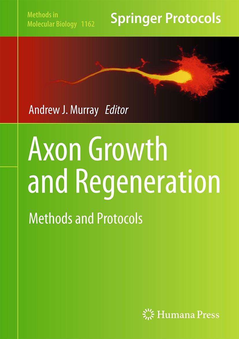 Buchcover: Axon Growth and Regeneration. Titel und Autor Andrew J. Murray. Springer Protocols. Humana Press Logo.