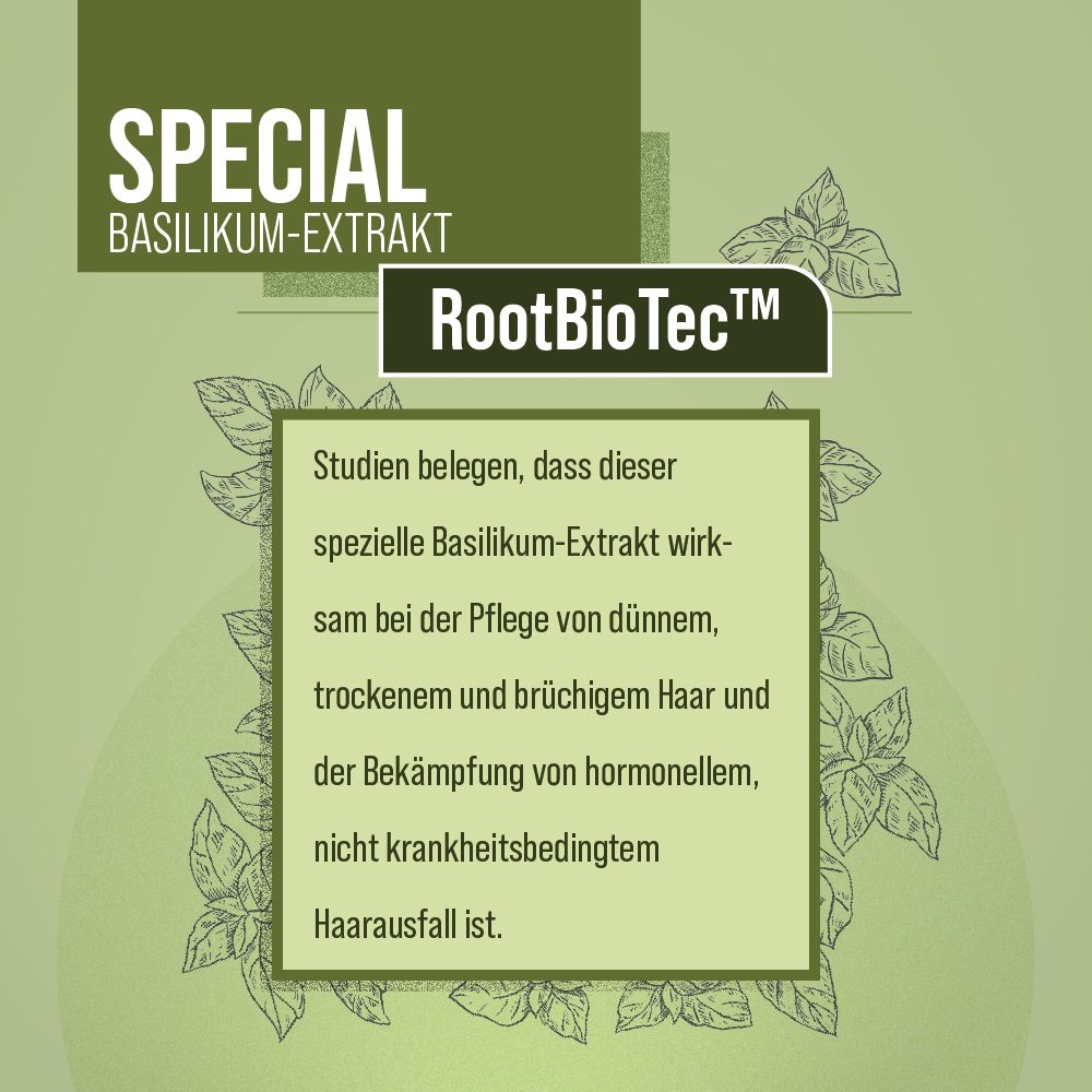 Sanct Bernhard Basilikum-Extrakt-Haarkur