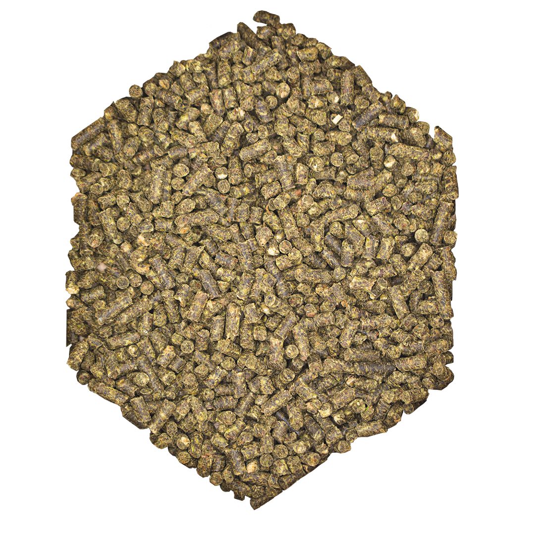 Haufen von gepressten, zylindrischen Pellets. Grün-braune Farbe, hexagonale Form.