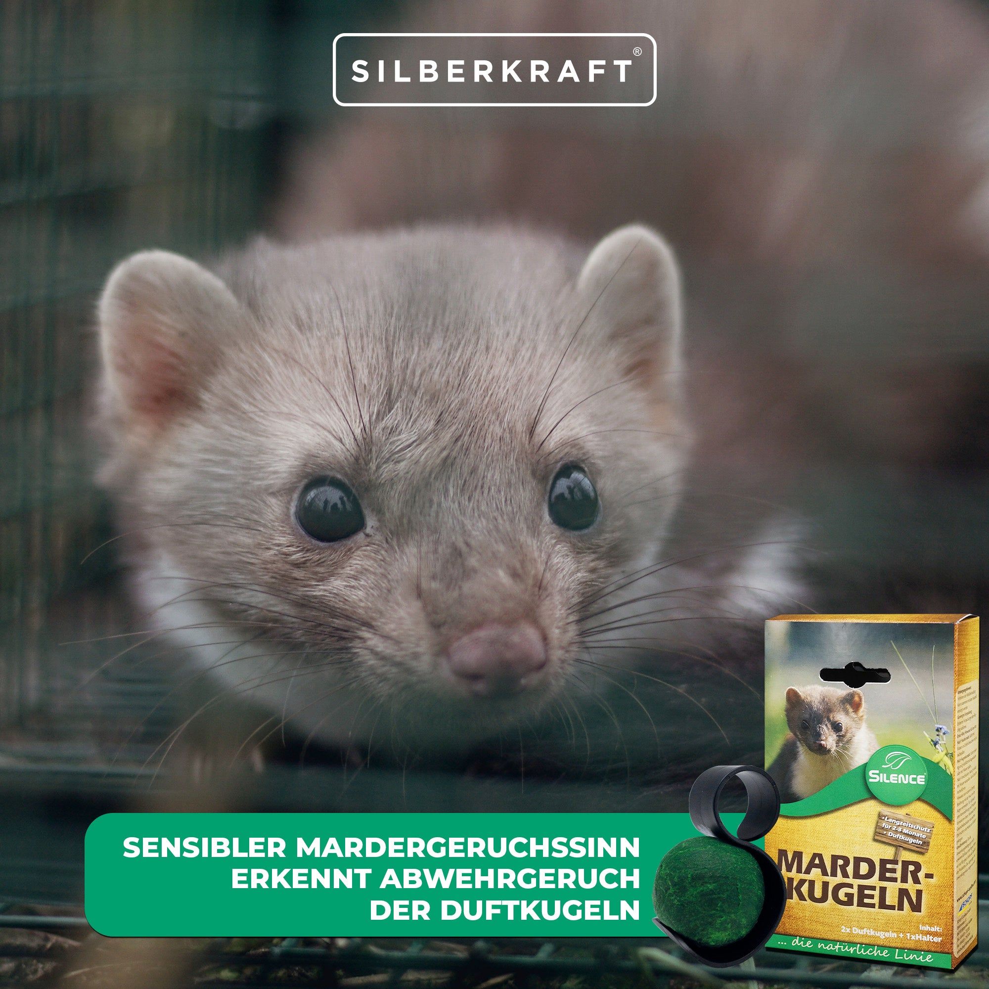 SILBERKRAFT Silence Marder-Duftkugeln