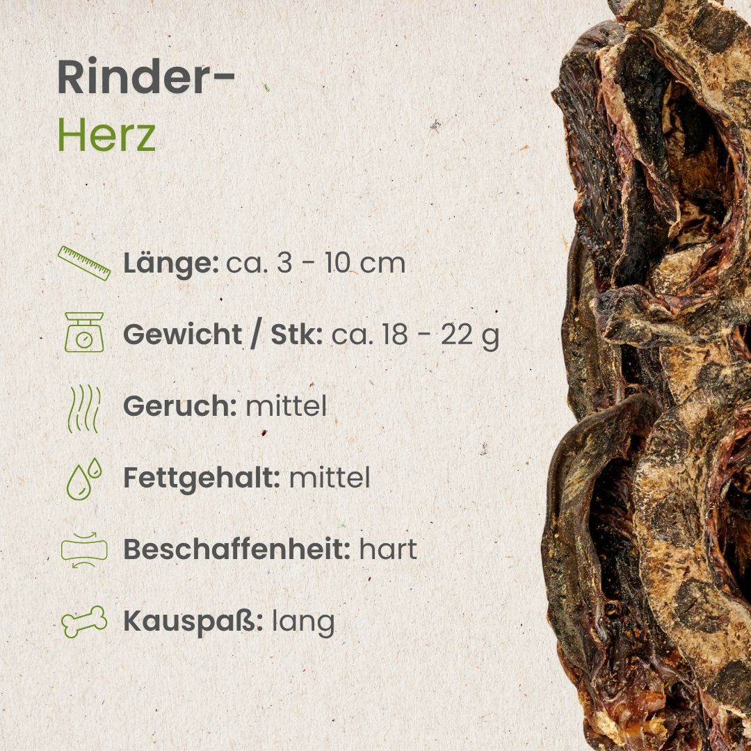 Hund kaut Rinderherz im Gras, daneben ein Stapel getrockneter Rinderherzen auf einem Holzstamm.