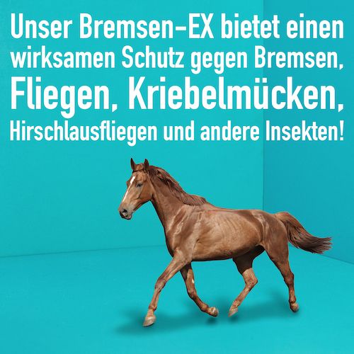 Pferd vor blauem Hintergrund. Text: Unser Bremsen-EX bietet Schutz gegen Bremsen, Fliegen, Kriebelmücken, etc.