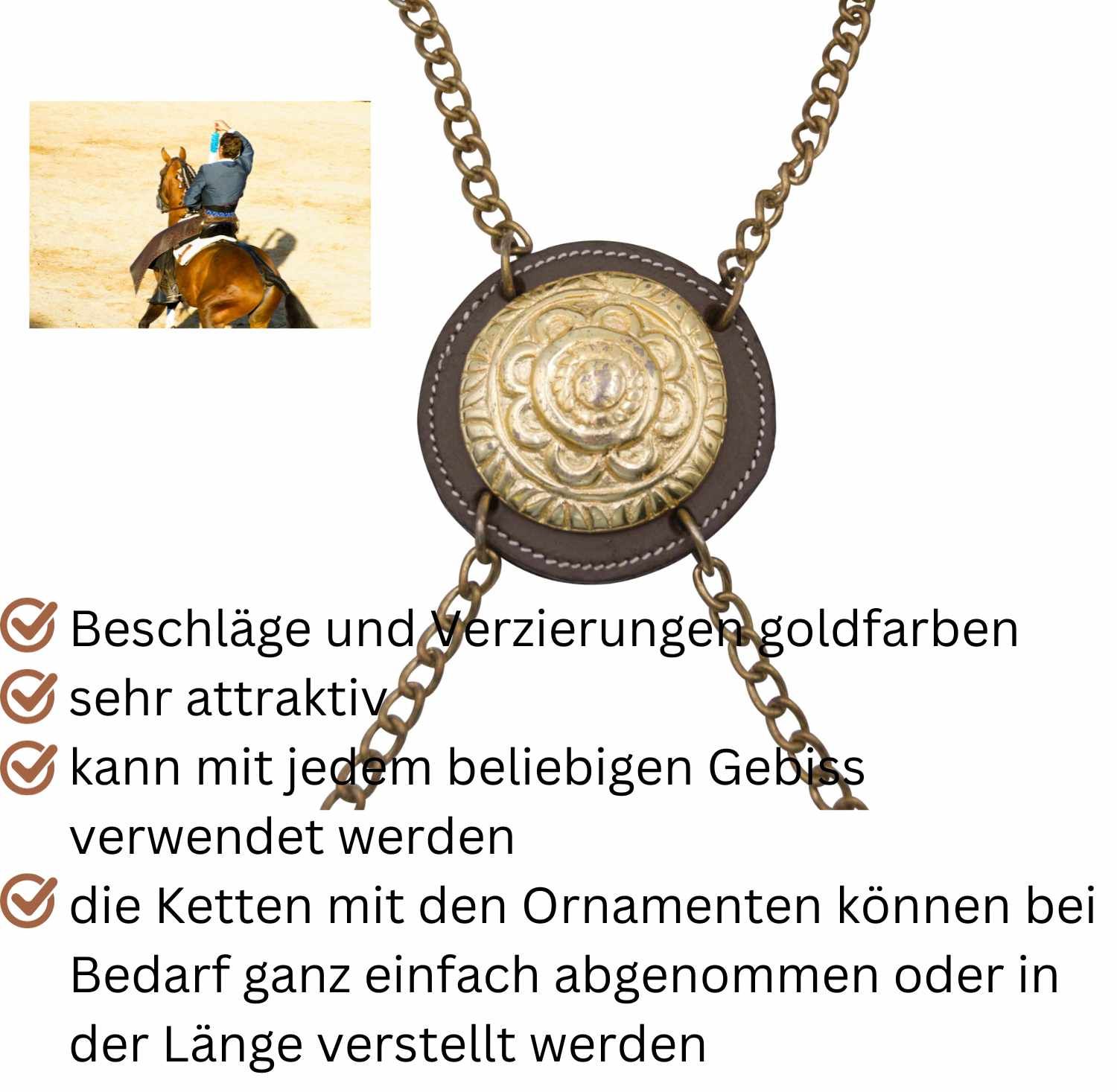 Detailansicht der Trense mit goldenen Verzierungen und Kette. Text: 'Beschläge und Verzierungen goldfarben', 'sehr attraktiv'.