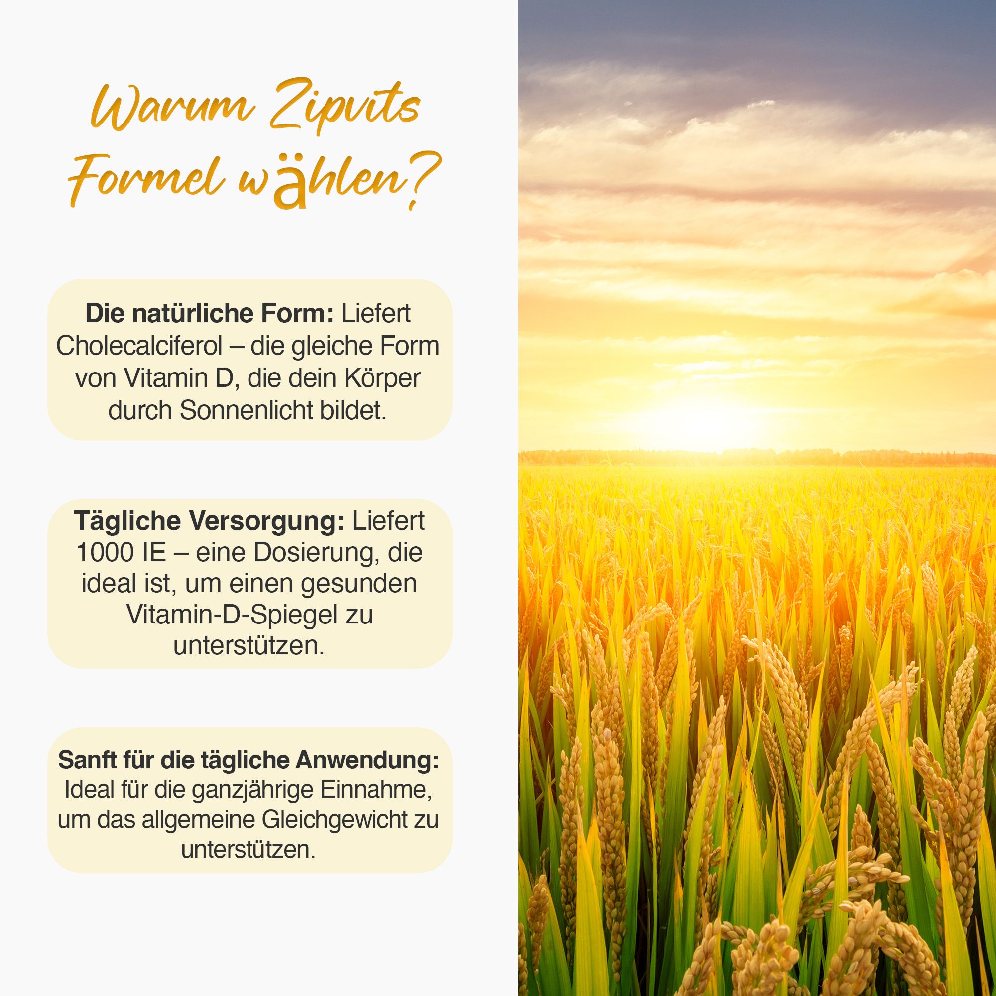 Gelbes Feld mit Sonne. Text: Natürliche Form, tägliche Versorgung, sanft für tägliche Anwendung. Hintergrund: sonnige Landschaft.