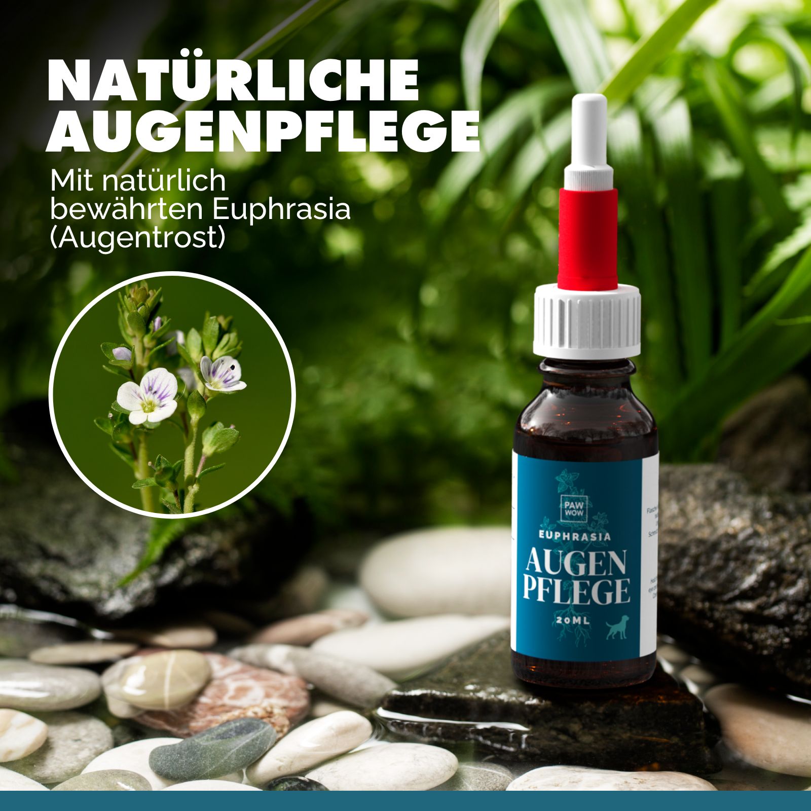 PAW WOW Euphrasia Augenpflege