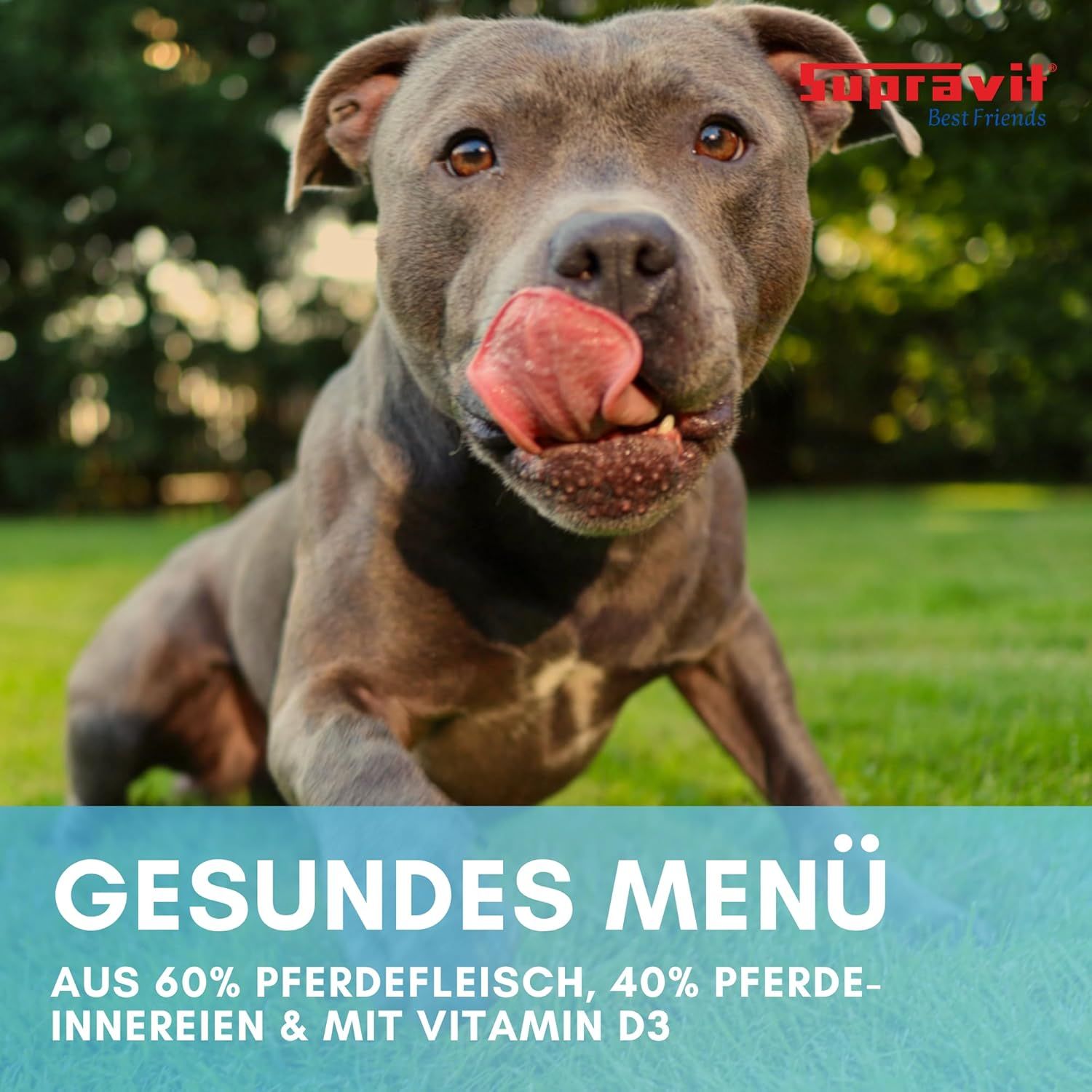 Supravit Hundenassfutter Dosenfutter für Hunde