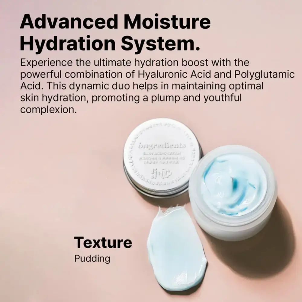 ONGREDIENTS Slow Aging Face Cream Gesichtscreme