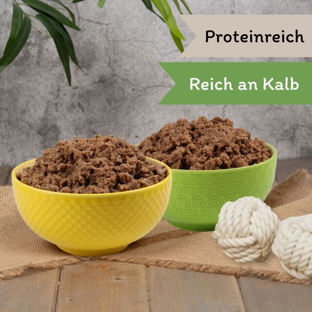 Zwei Schüsseln Hundefutter. Beschriftung: 'Proteinreich, Reich an Kalb'. Zwei Spielbälle daneben.