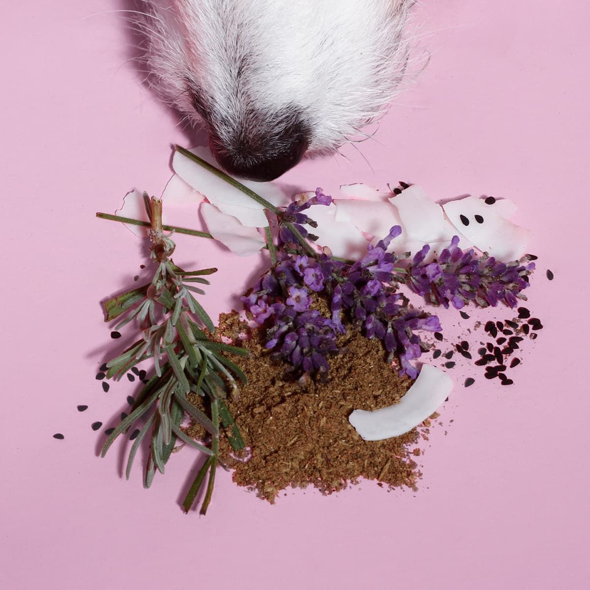 Z-Pulver mit Lavendel, Kokosnuss und Kräutern.