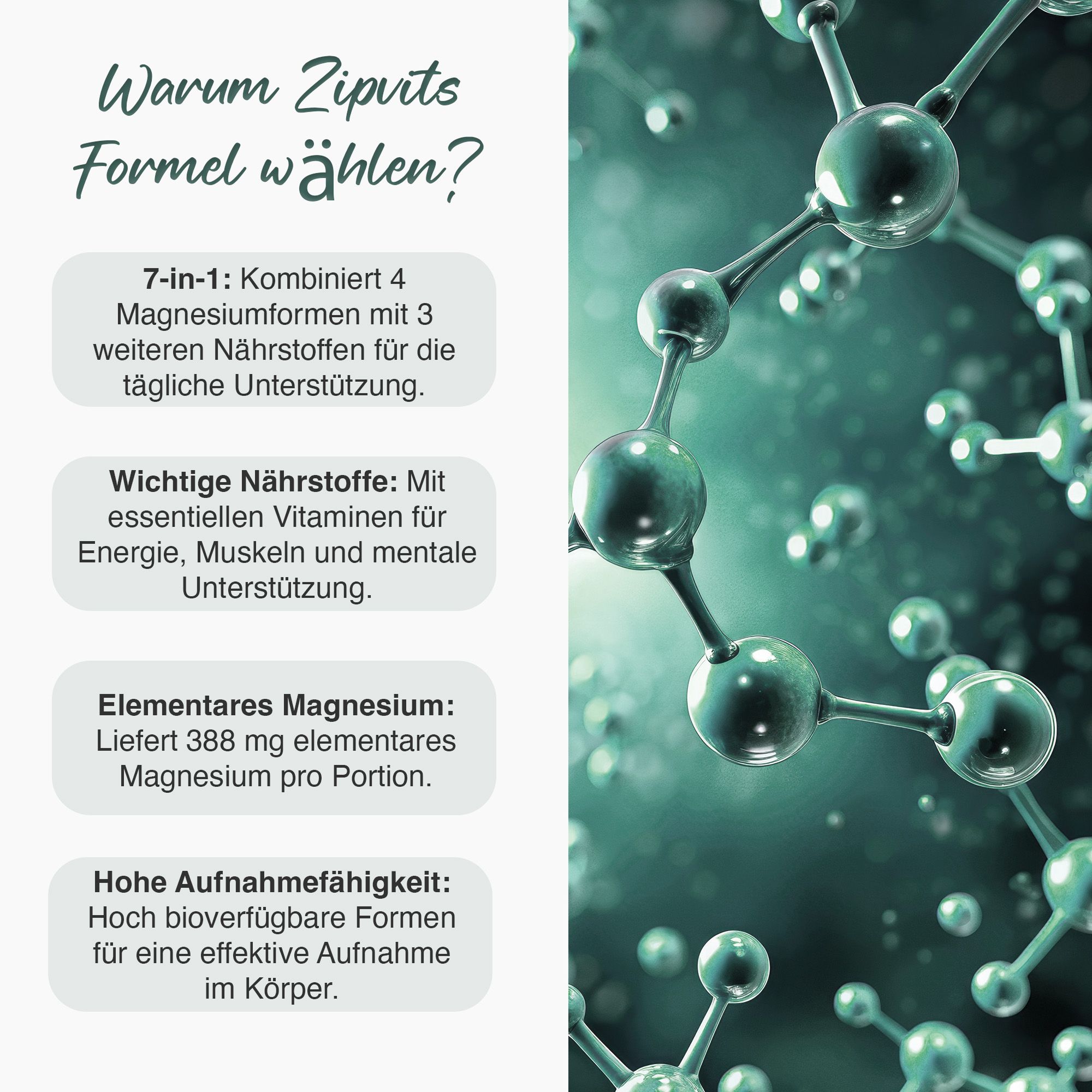 Grafik mit Molekülstruktur. Text: Warum Zipvits Formel wählen? 7-in-1, wichtige Nährstoffe, elementares Magnesium, hohe Aufnahmefähigkeit.