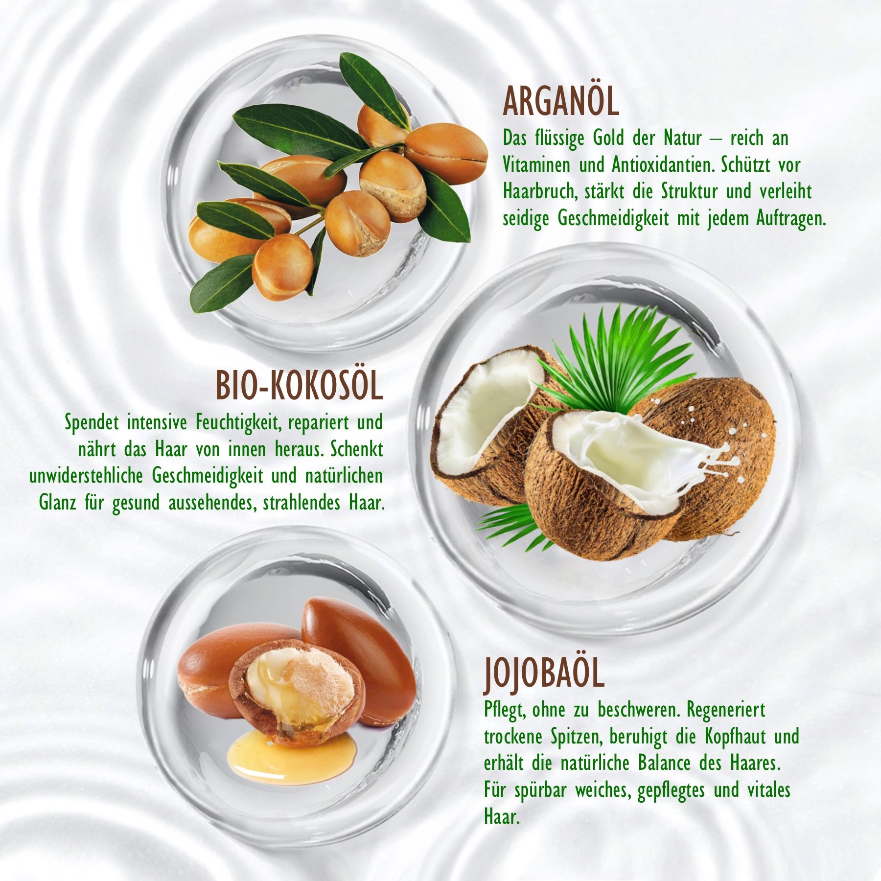 Drei transparente Schalen mit Inhaltsstoffen: Arganöl, Bio-Kokosöl, Jojobaöl. Illustrationen von Argan, Kokosnuss und Jojoba-Samen.