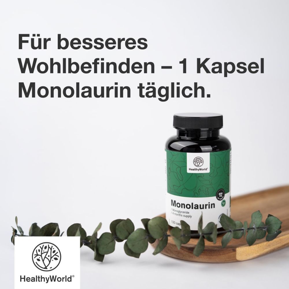 Eine Flasche Monolaurin-Nahrungsergänzungsmittel mit 120 Kapseln, Marke HealthyWorld.
