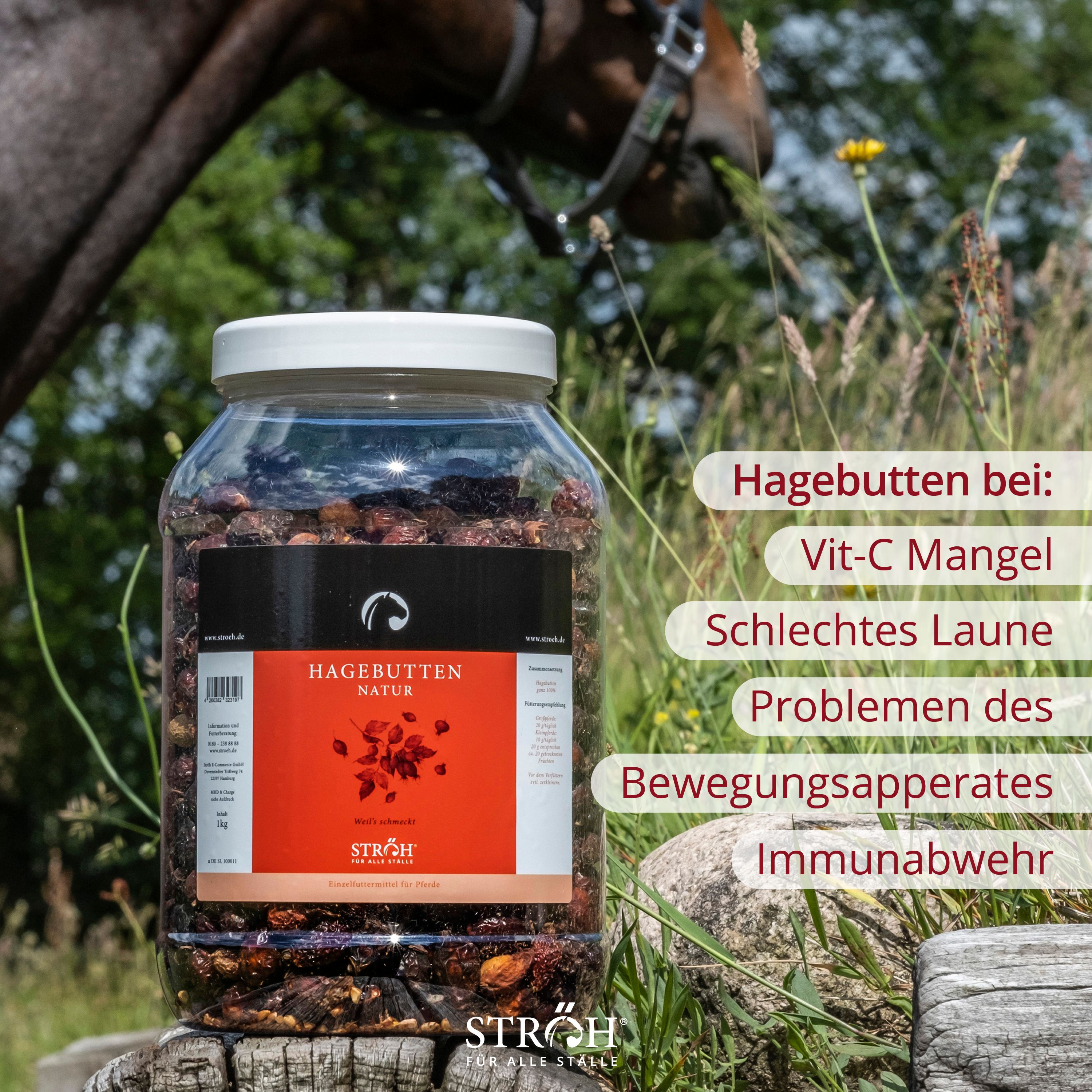 Glas mit Hagebutten neben einem Pferd. Text: Hagebutten bei: Vit-C Mangel, schlechte Laune, Problemen des Bewegungsapparates, Immunabwehr.
